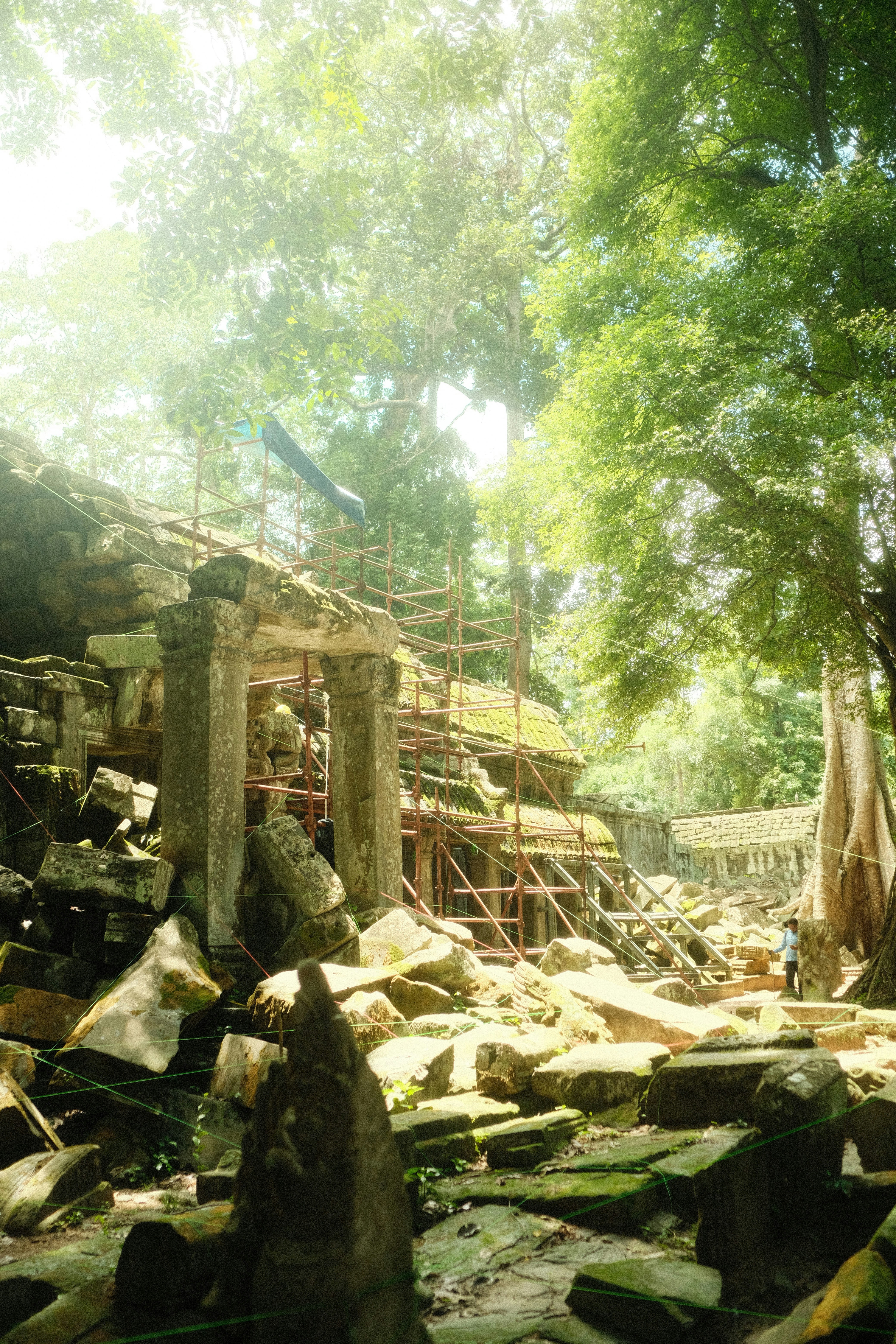 A pile of rocks and trees in a forest