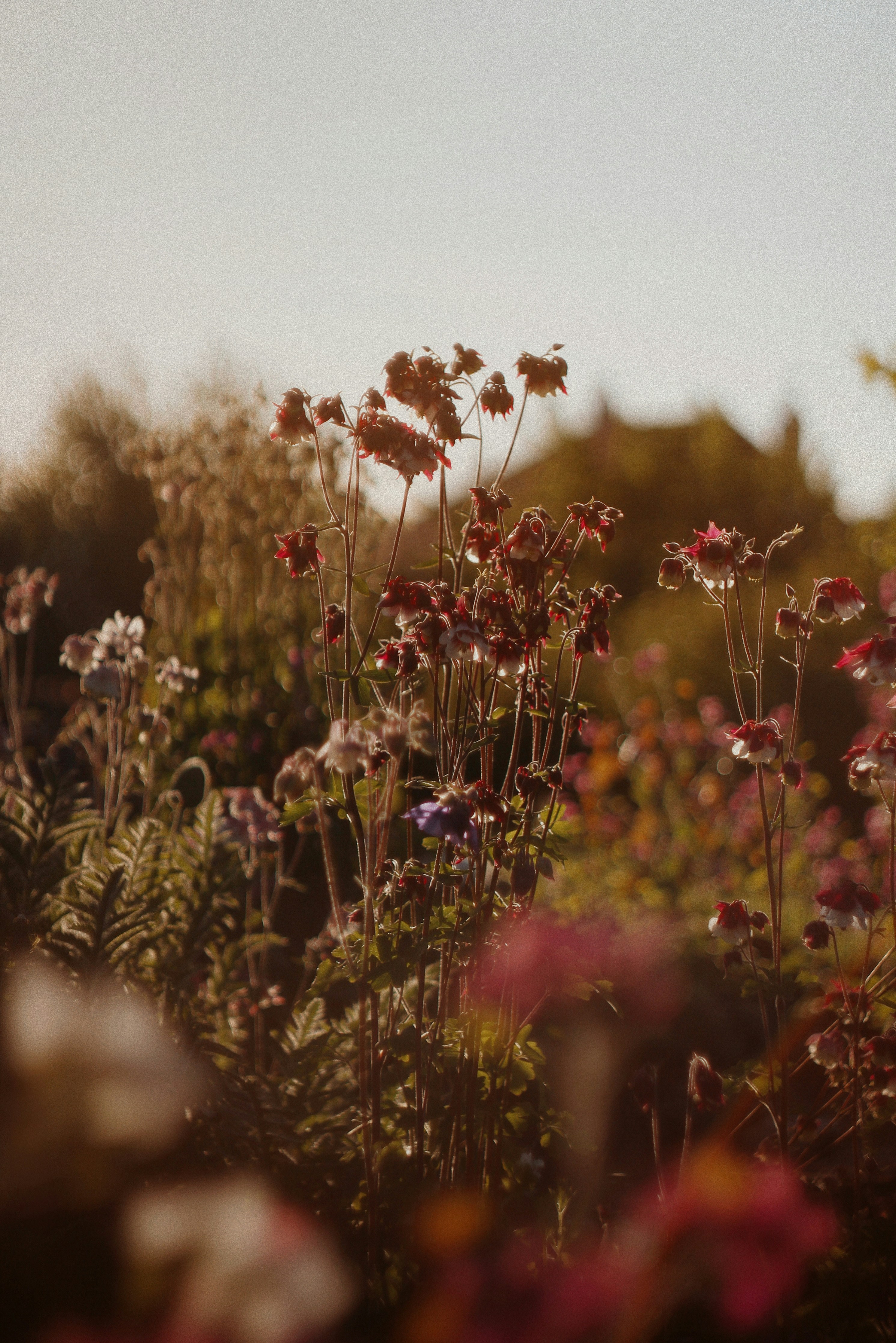 Photo by dearsunflower