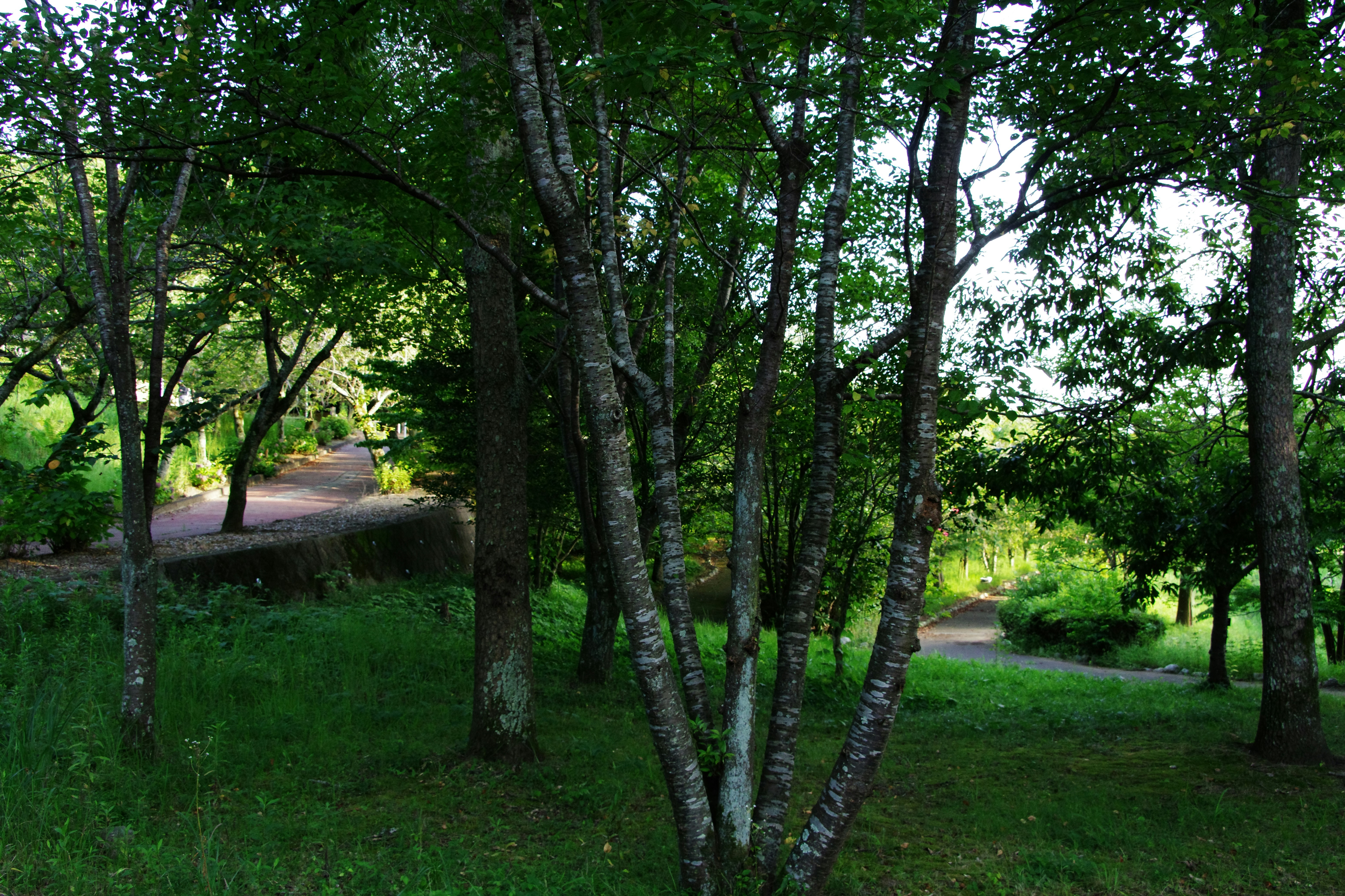 Photo by naopp