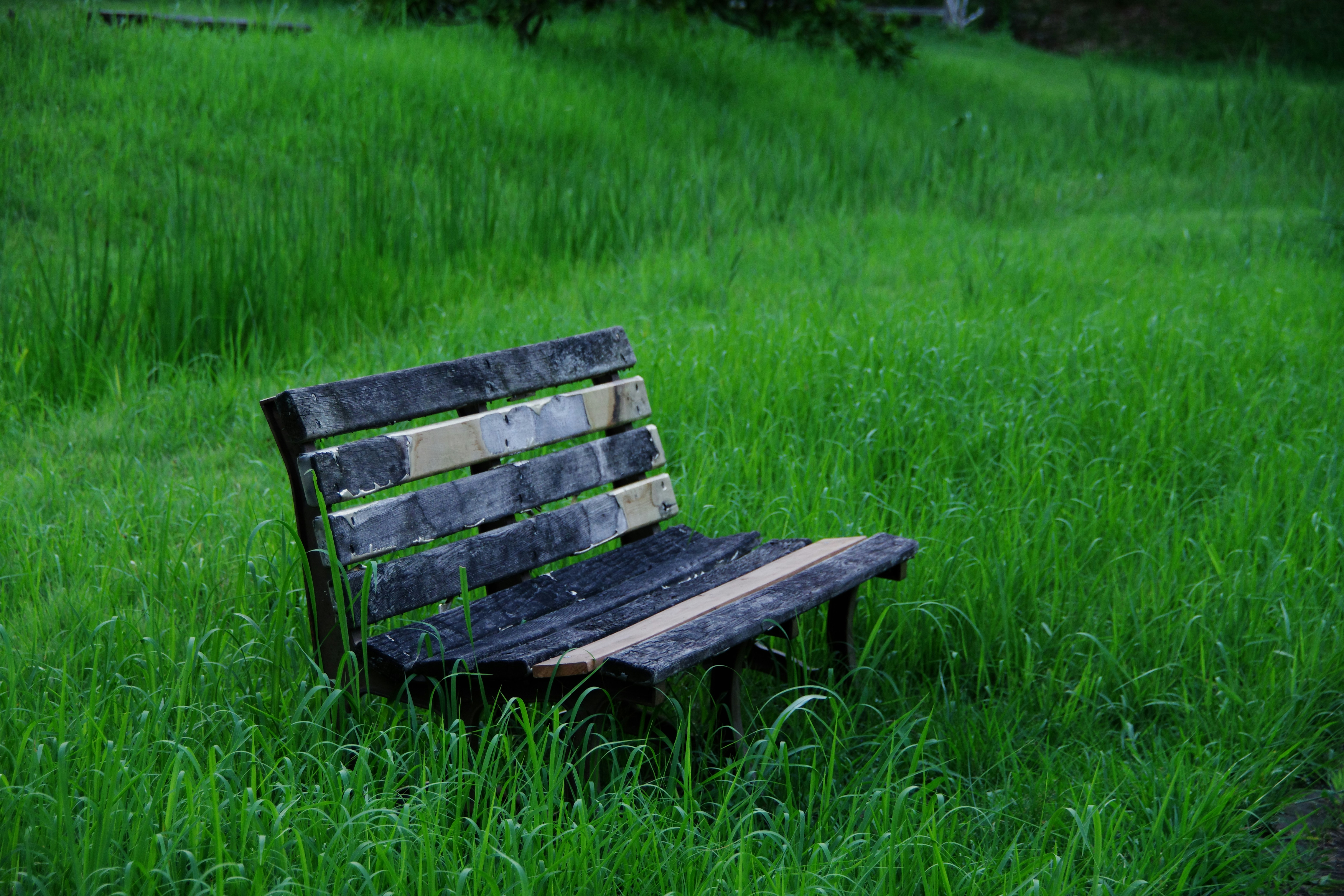 Who Really Needs a Garden Kneeler? (And Odd Uses You’ve Never Tried)