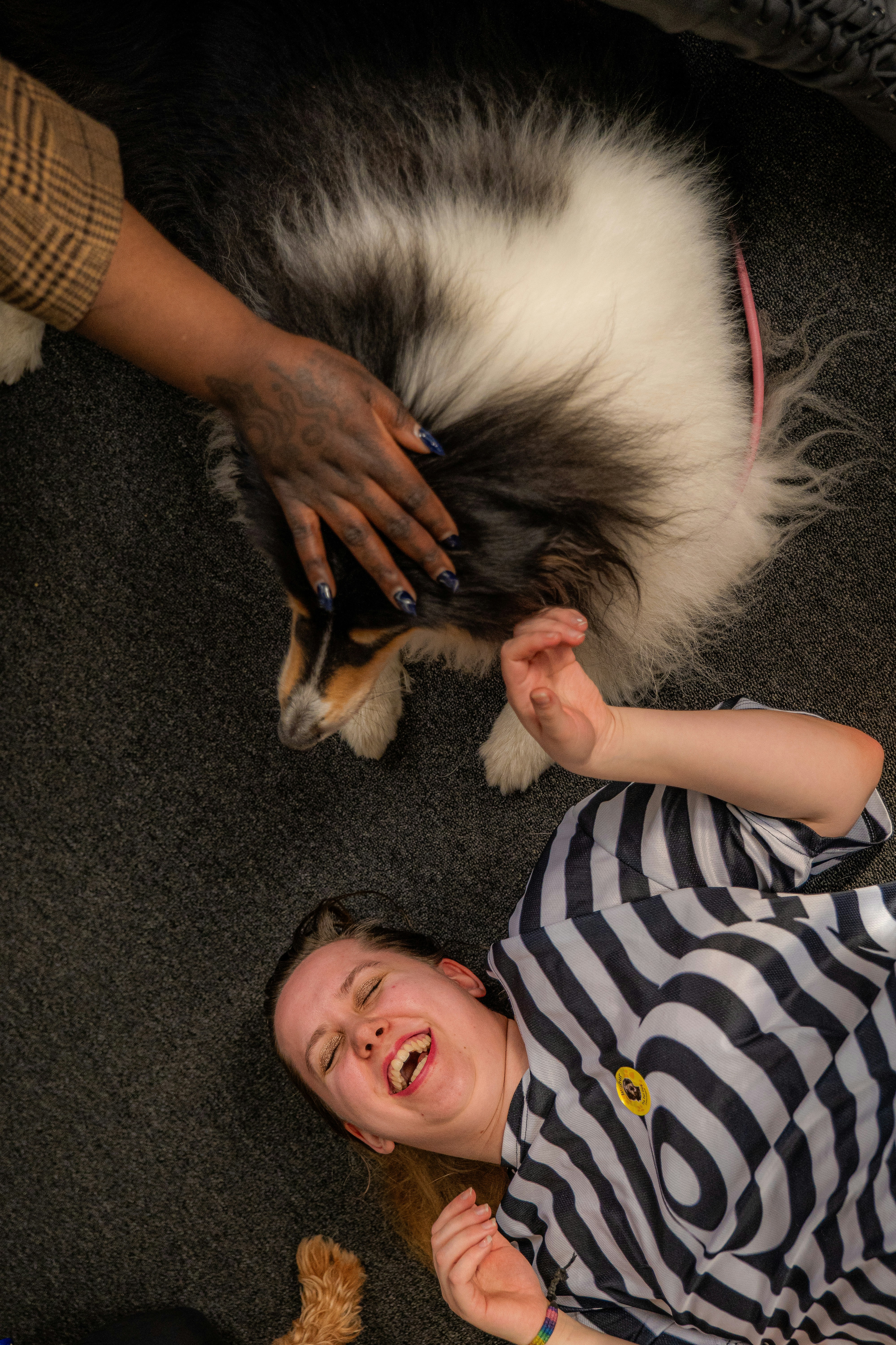 Image of a psychiatric service dog comforting its handler during a challenging moment