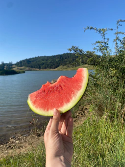 A person holding a piece of watermelon in front of a lake