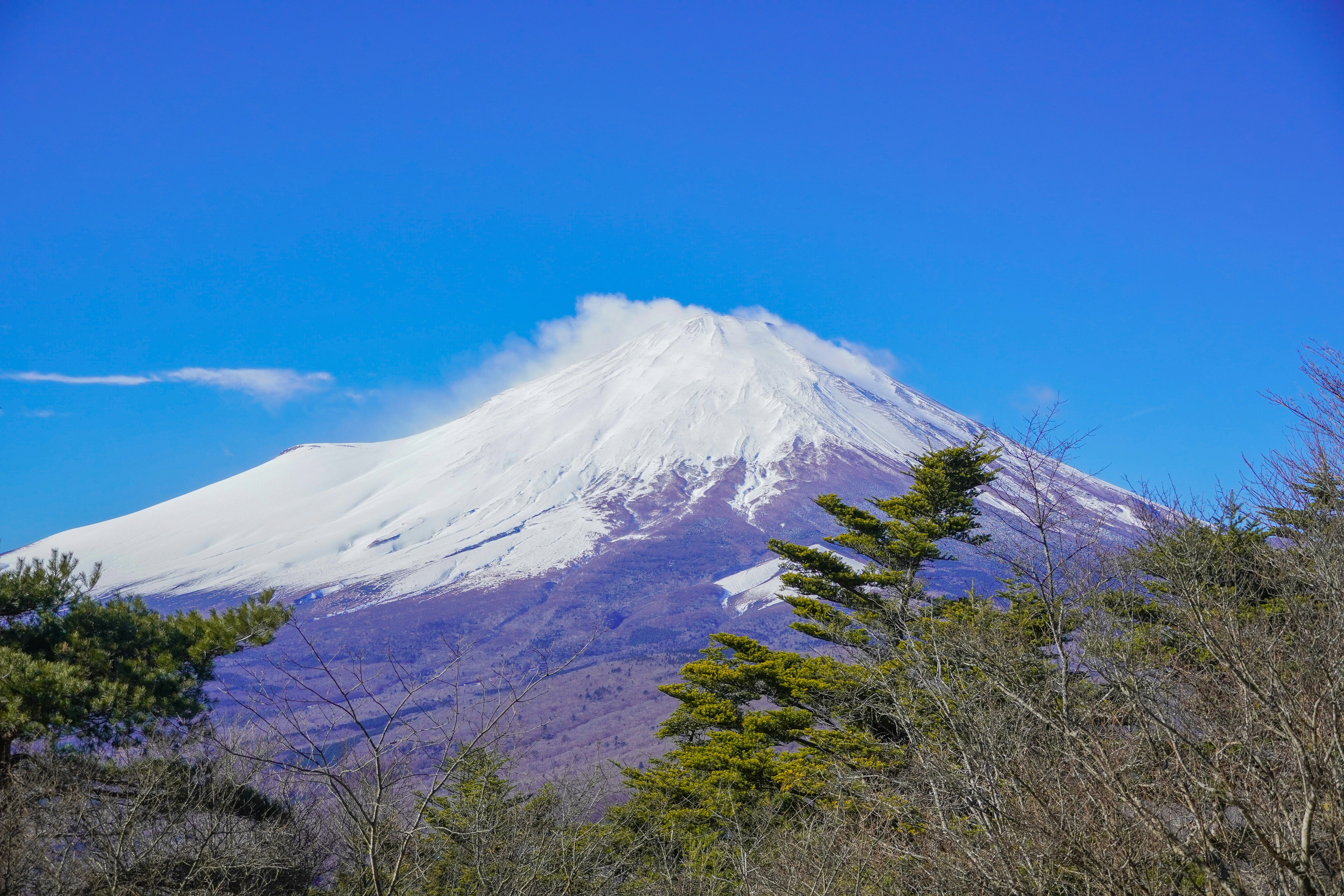 Photo by dsnphotography