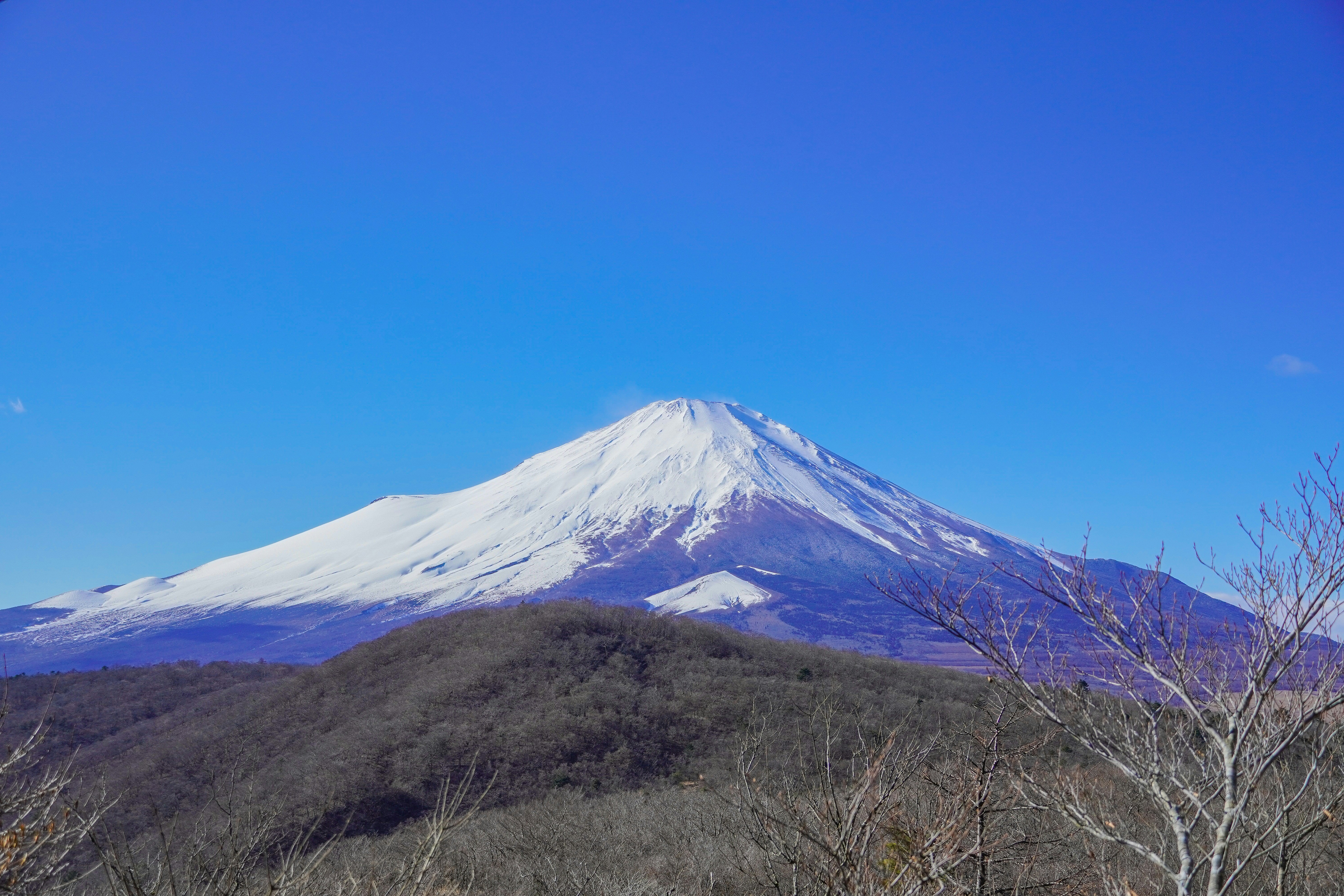 Photo by dsnphotography