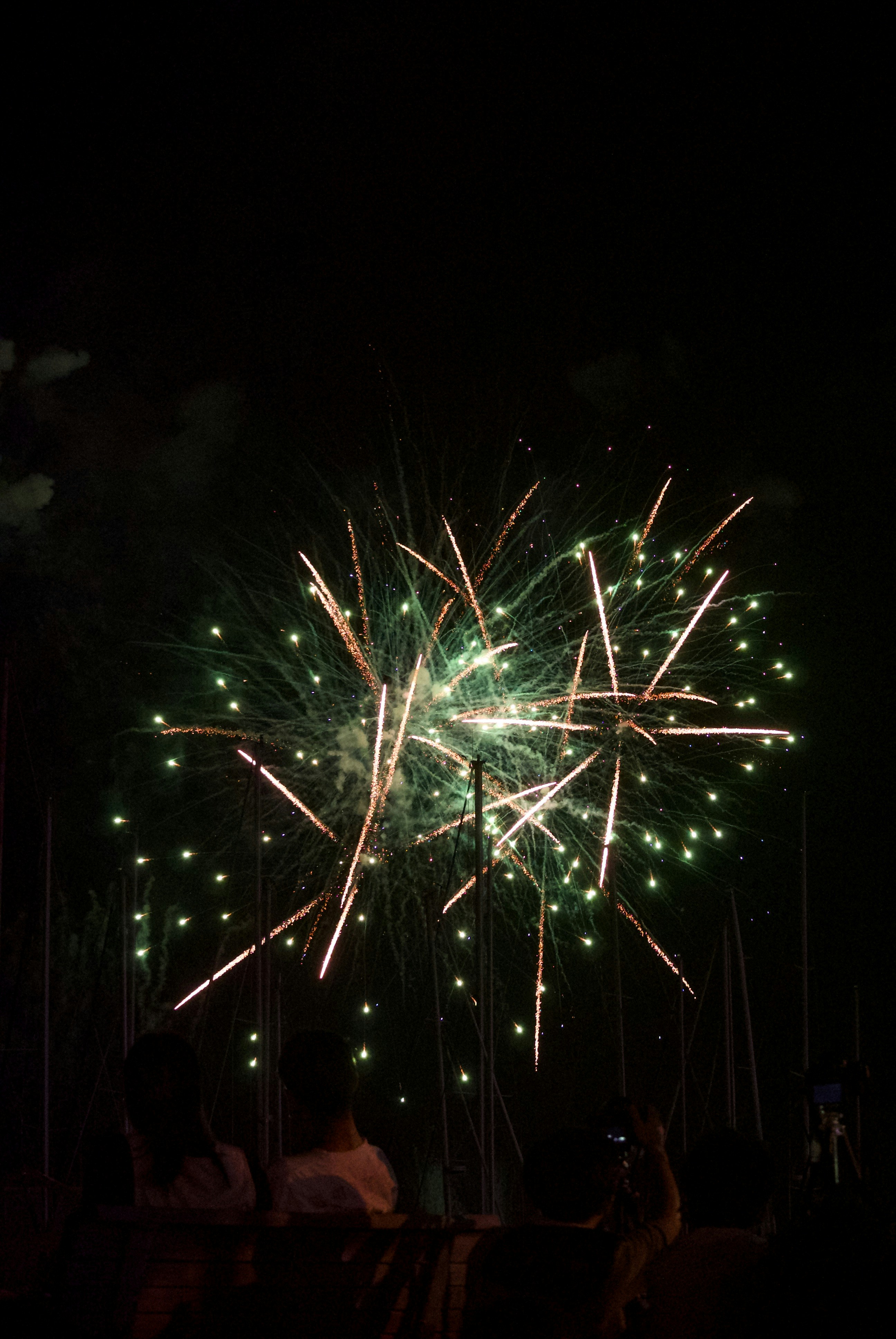 Eine Menschenmenge, die sich ein Feuerwerk anschaut