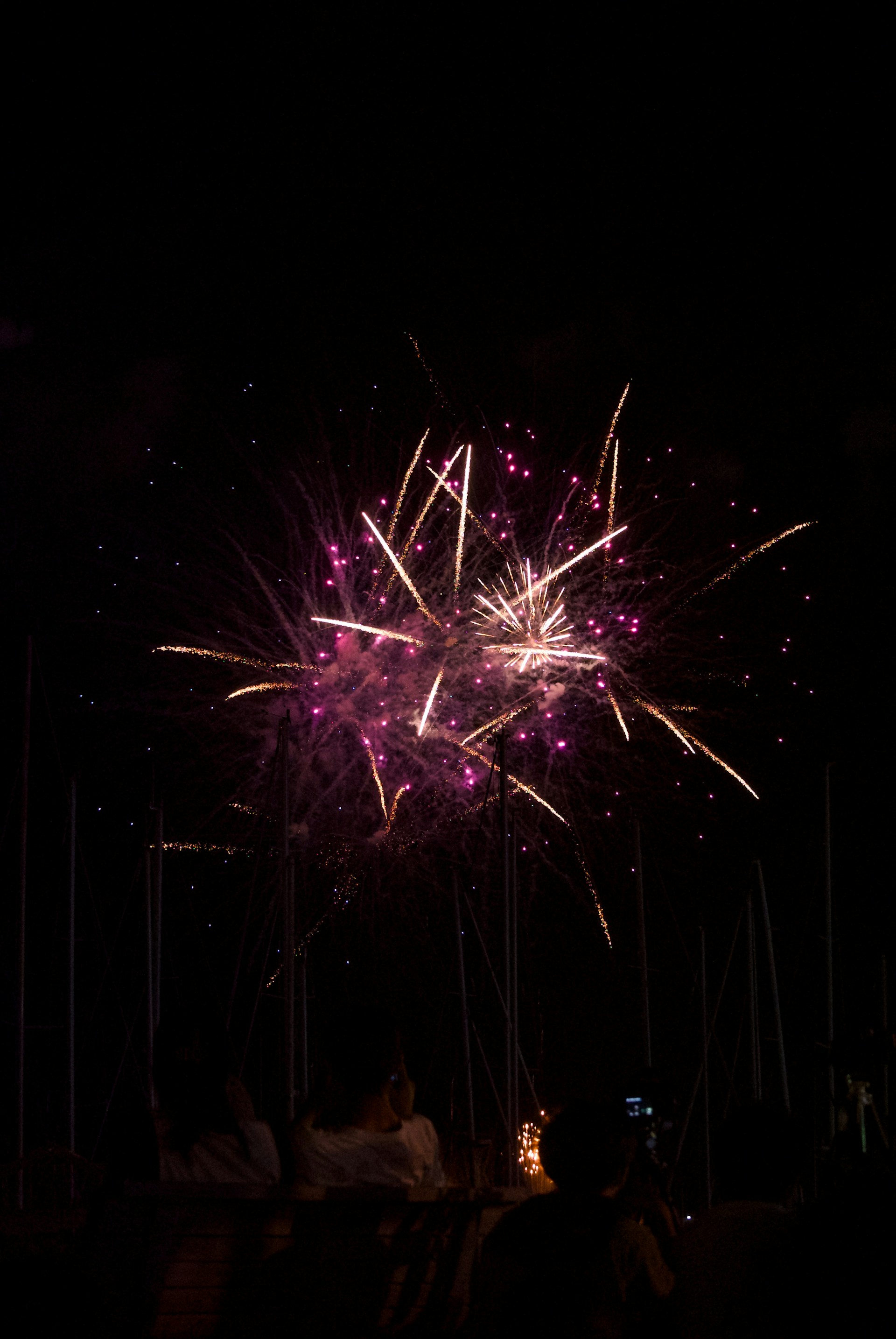 A fireworks display in the dark with people watching