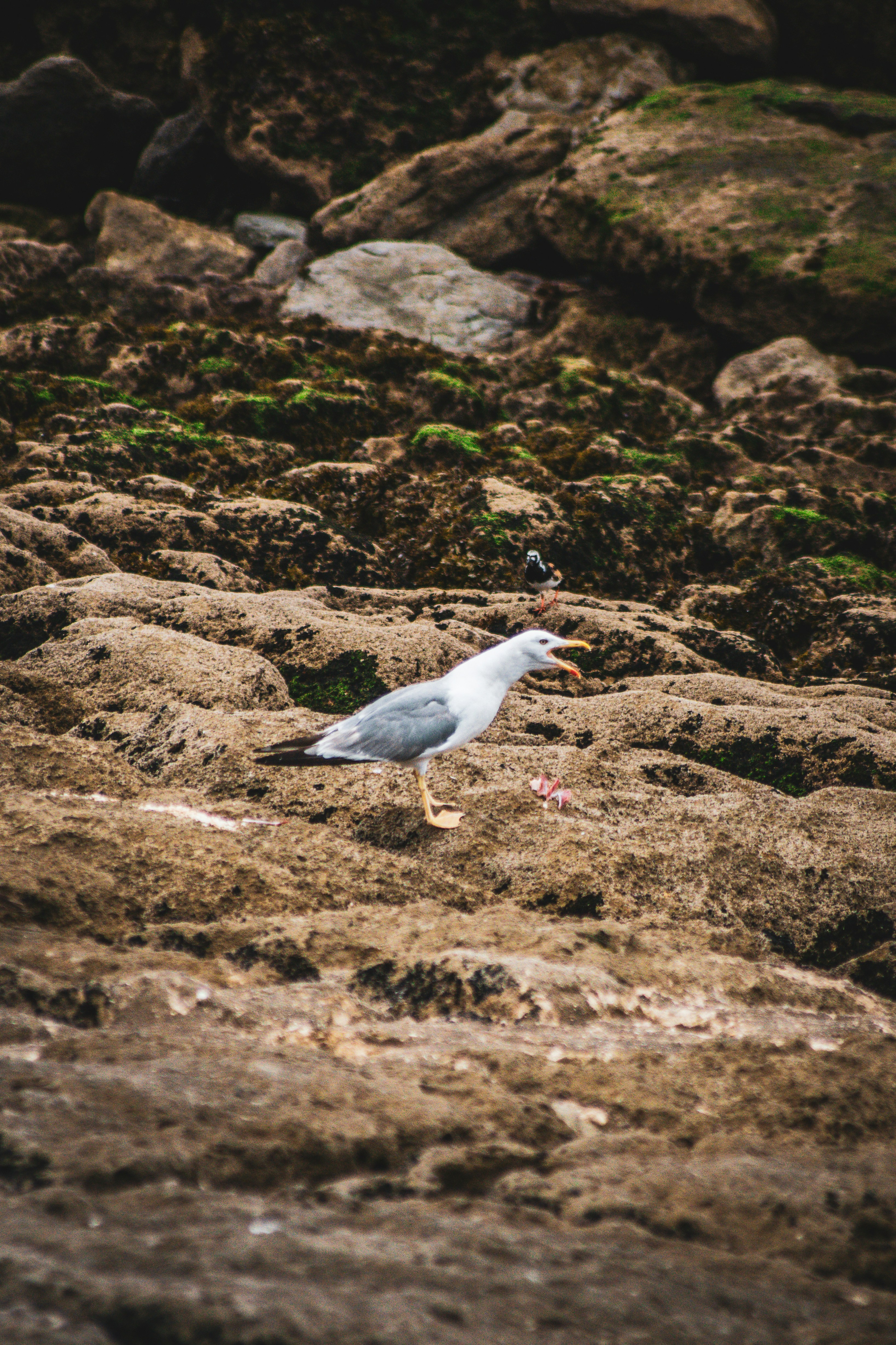 Photo by diogocardoso28