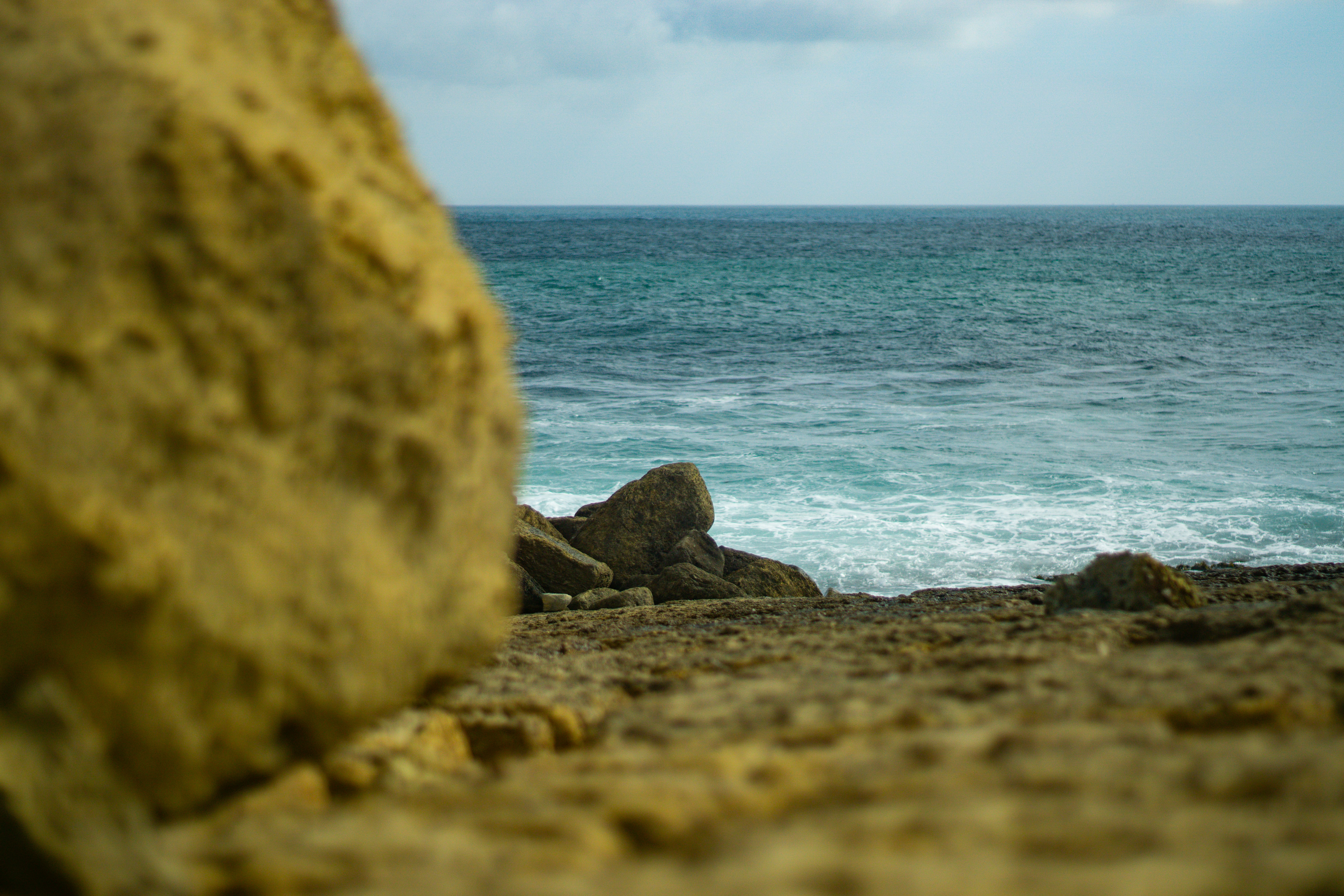 Photo by diogocardoso28