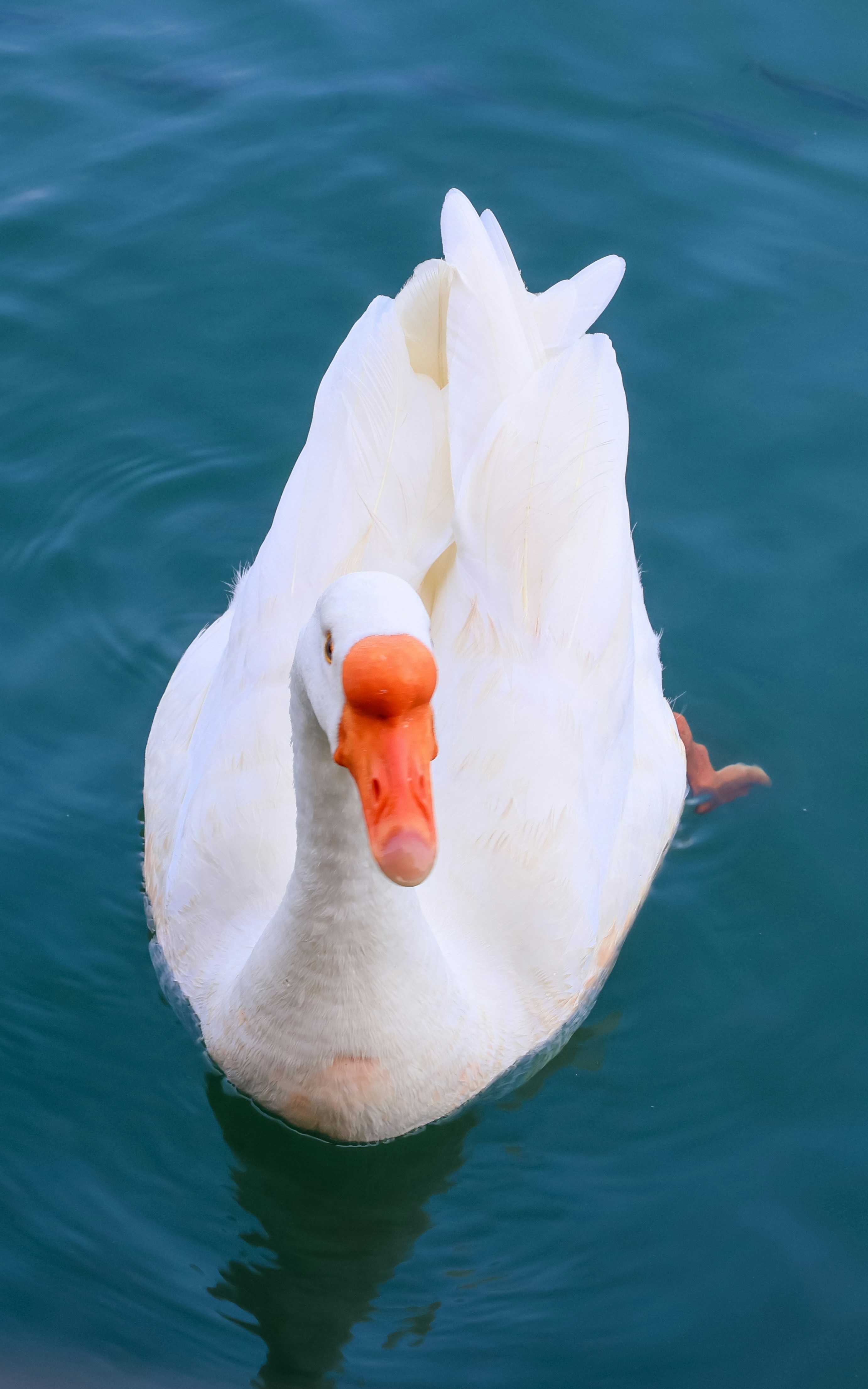 Photo by dickenslin76