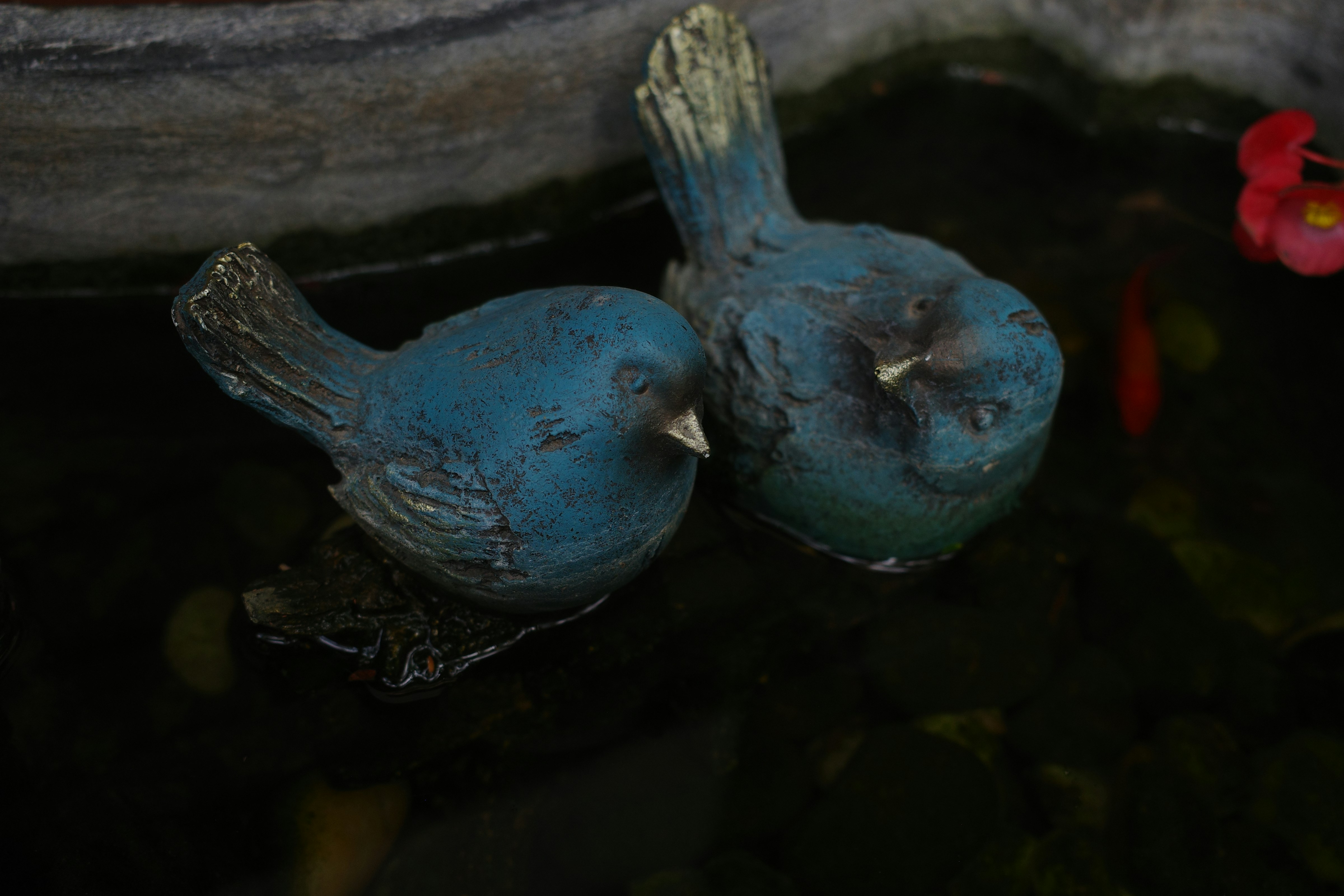 photo-1723301636146-2b74f351c3bf?ixid=M3wxMjA3fDB8MXxzZWFyY2h8MTR8fGF4b2xvdGxzJTIwZm9yJTIwc2FsZXxlbnwwfHx8fDE3NjQ4ODkzNzN8MA\u0026ixlib=rb-4.1.0