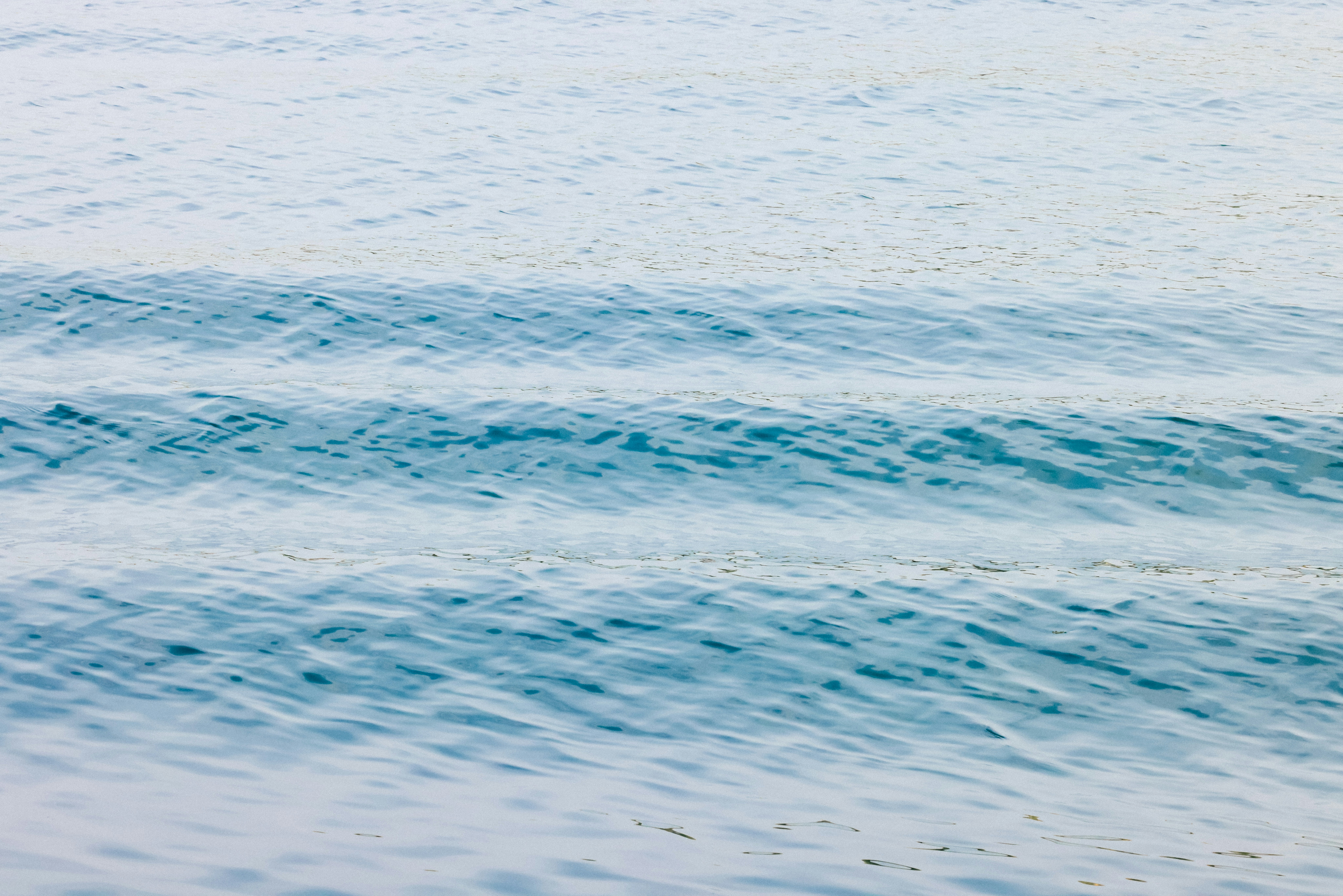 Photo by dickenslin76