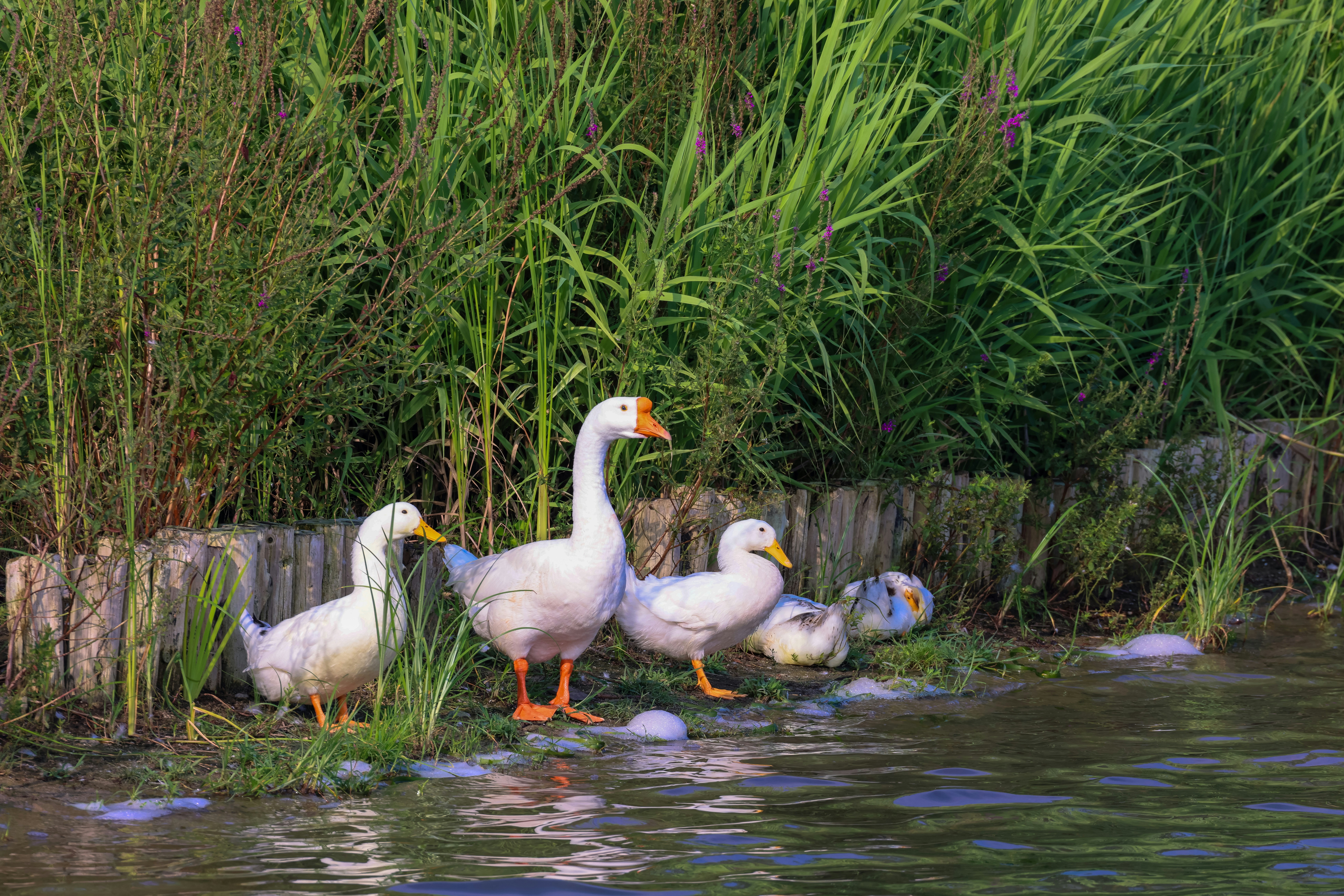 Photo by dickenslin76