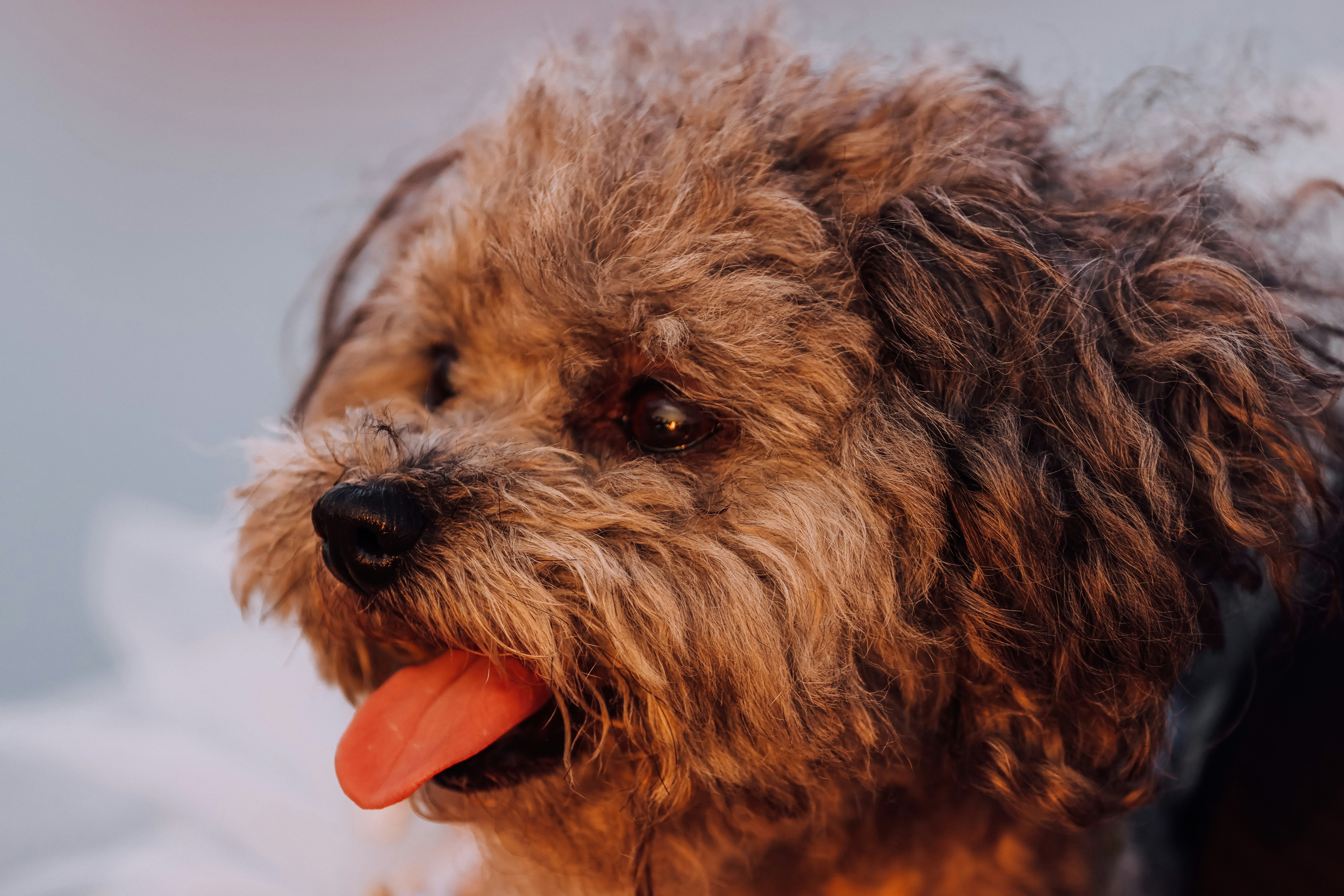 Photo by dickenslin76