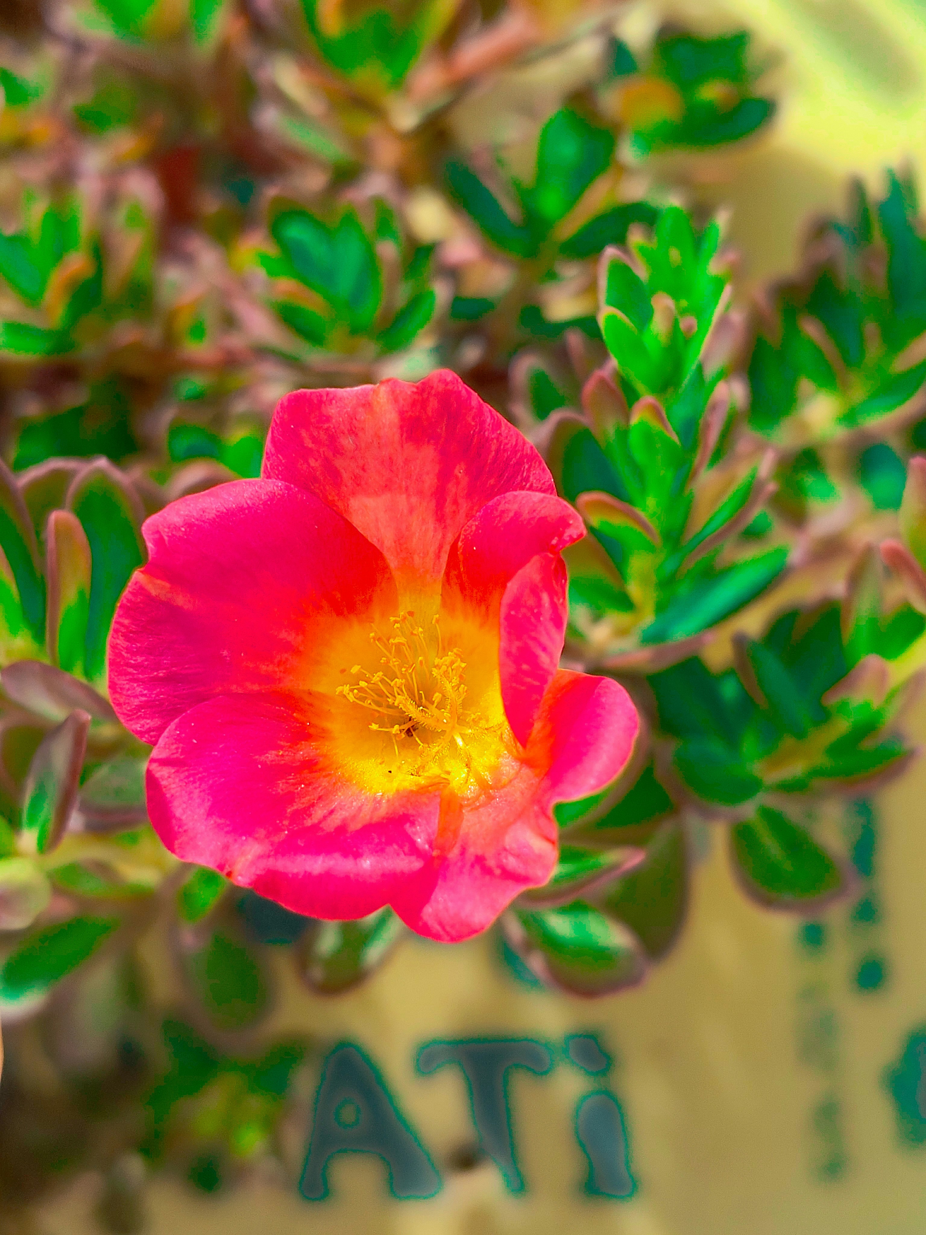 Photo by all_farming_