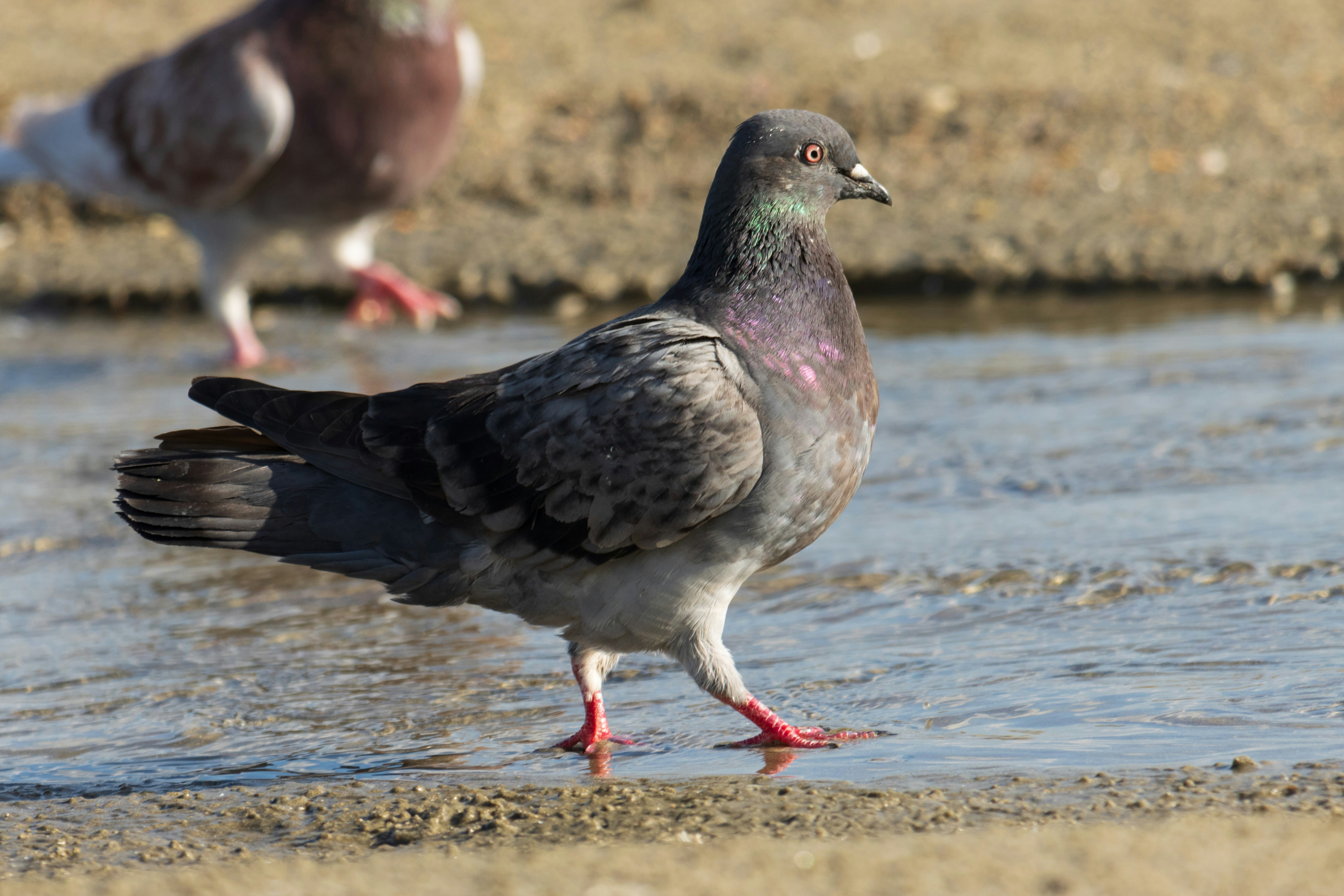 Photo by mechaowlstudios