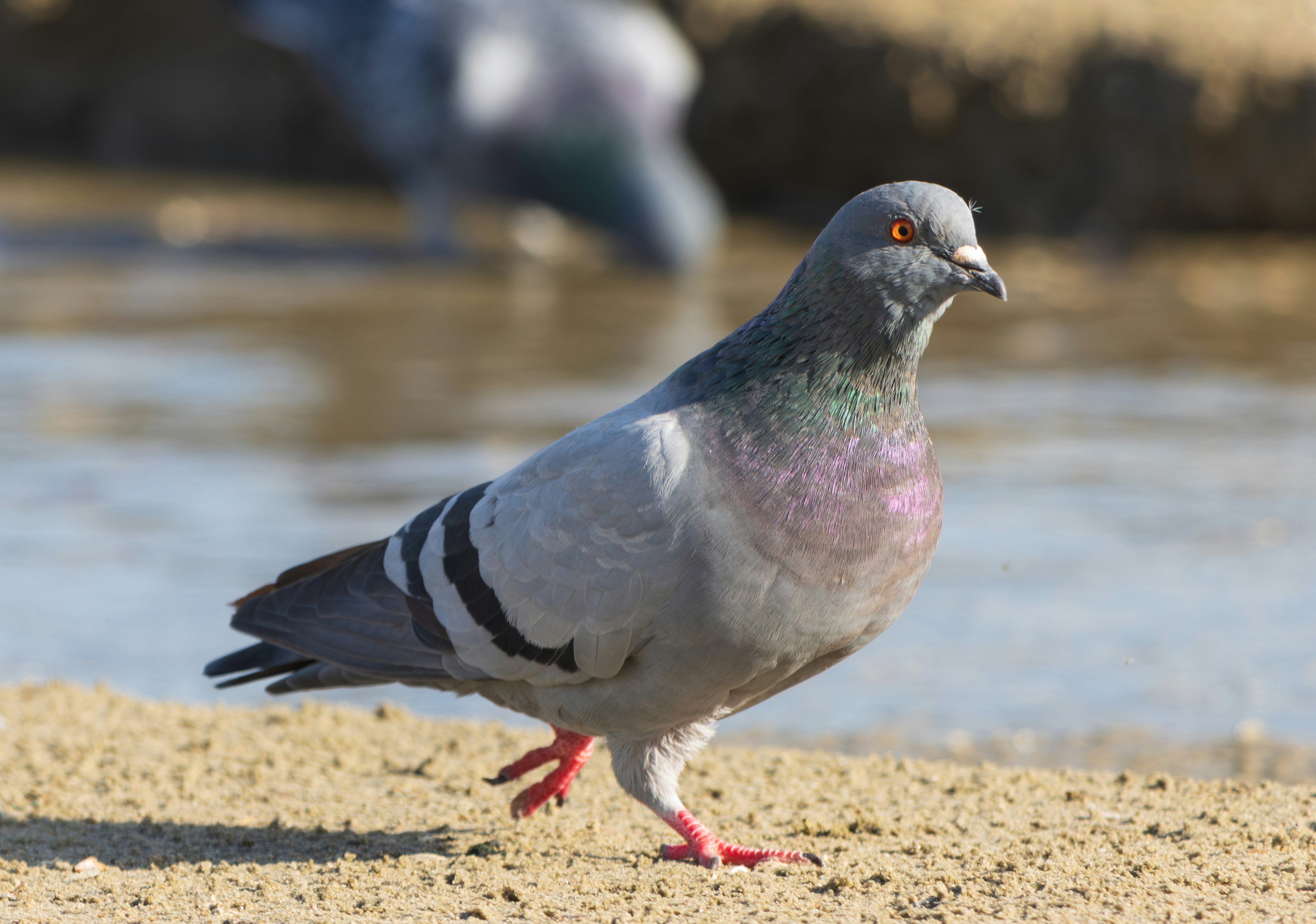 Photo by mechaowlstudios