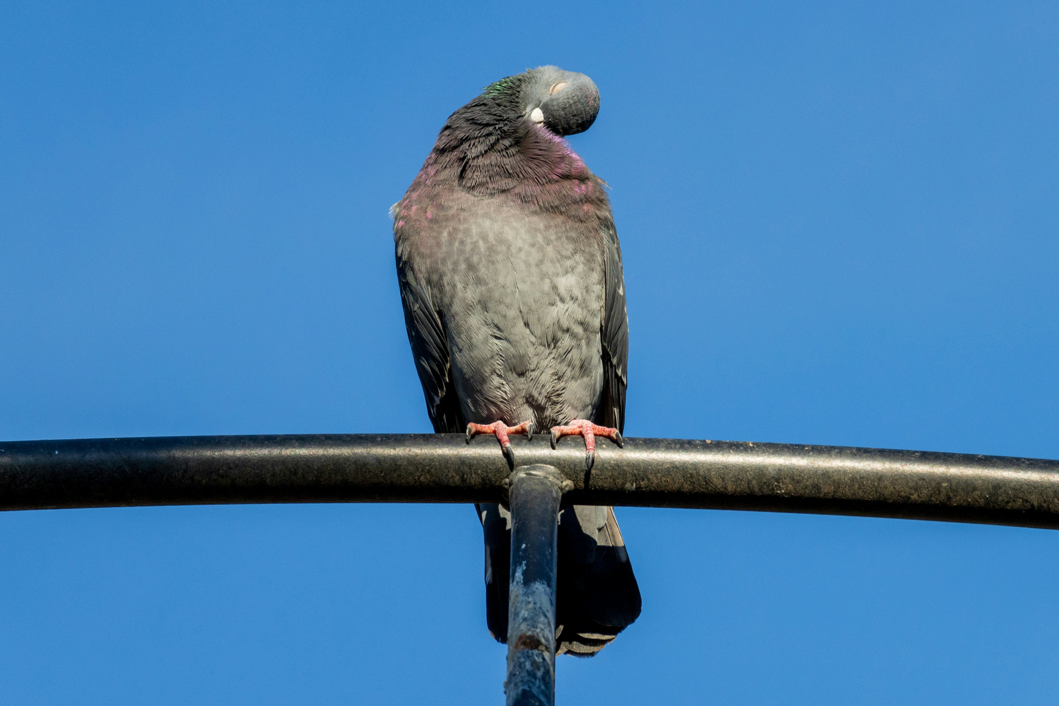 Photo by mechaowlstudios