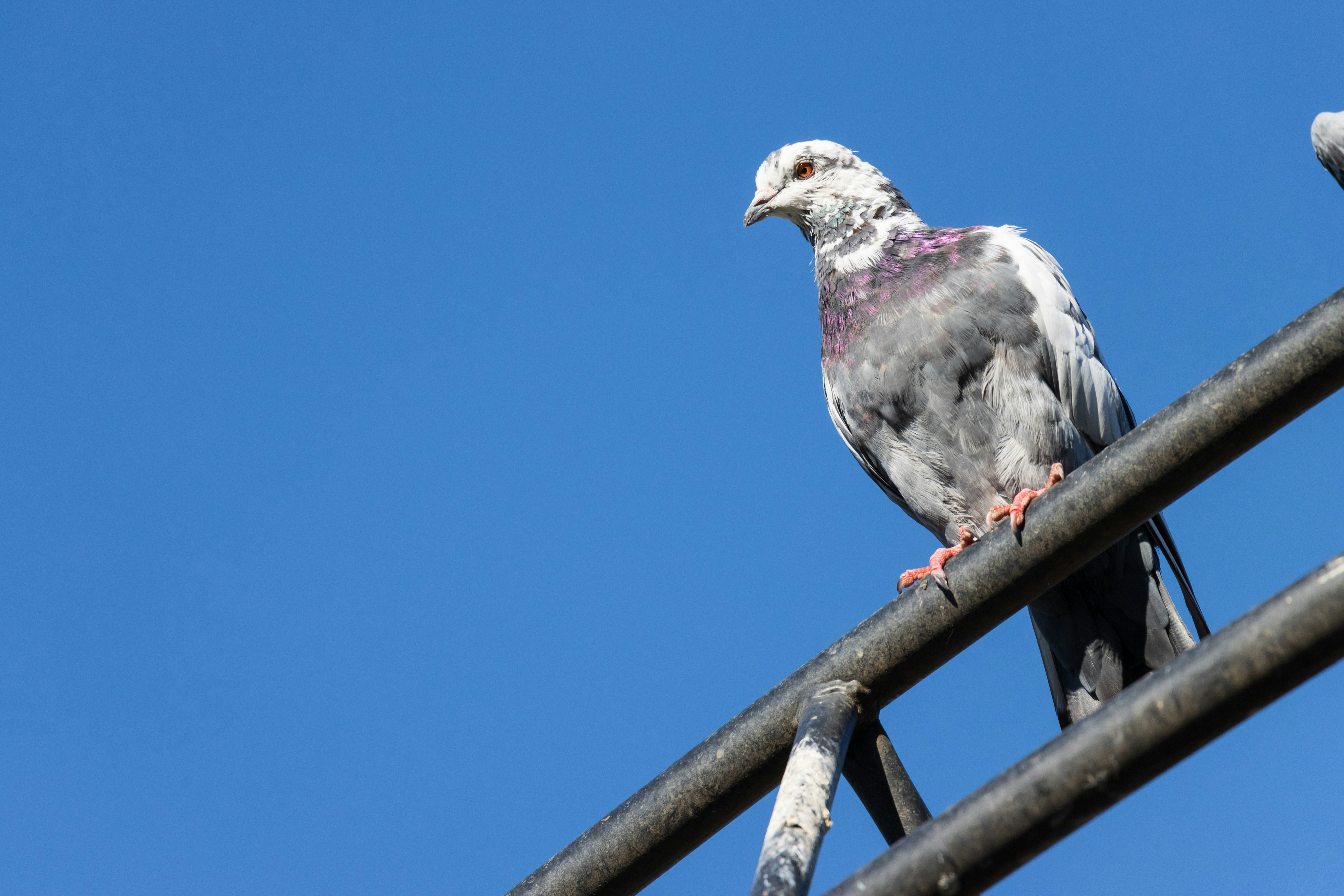 Photo by mechaowlstudios