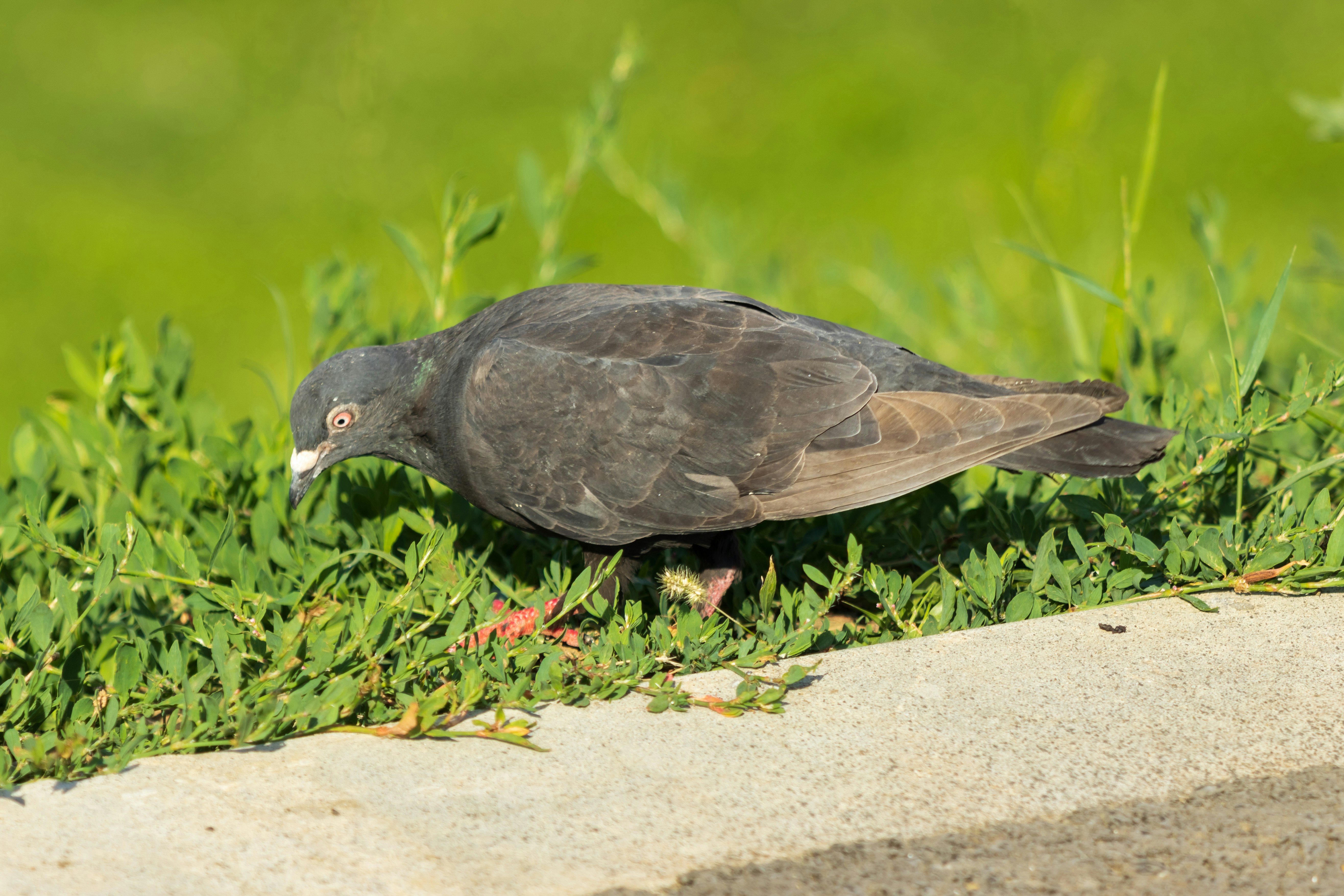 Photo by mechaowlstudios