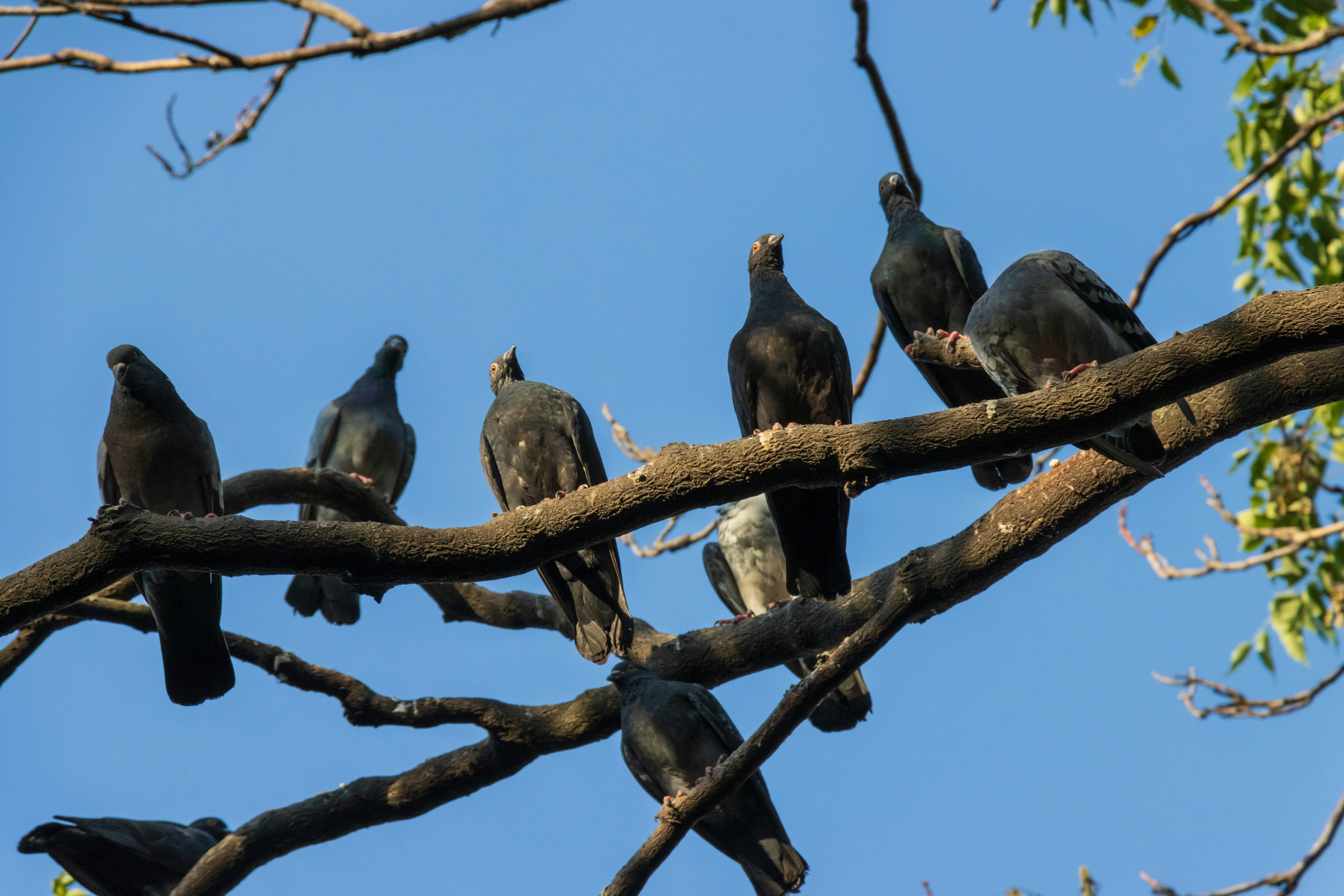 Photo by mechaowlstudios