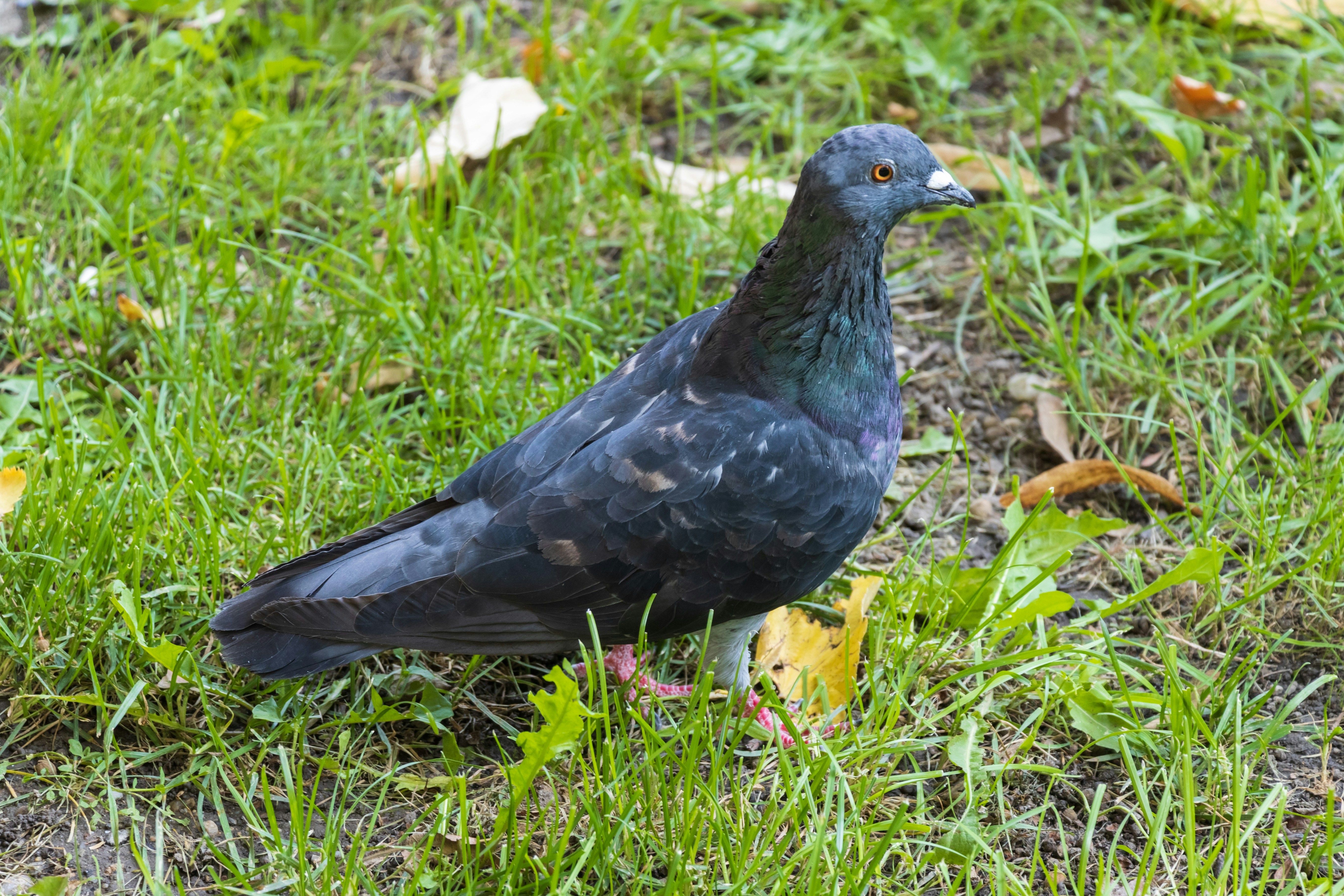 Photo by mechaowlstudios