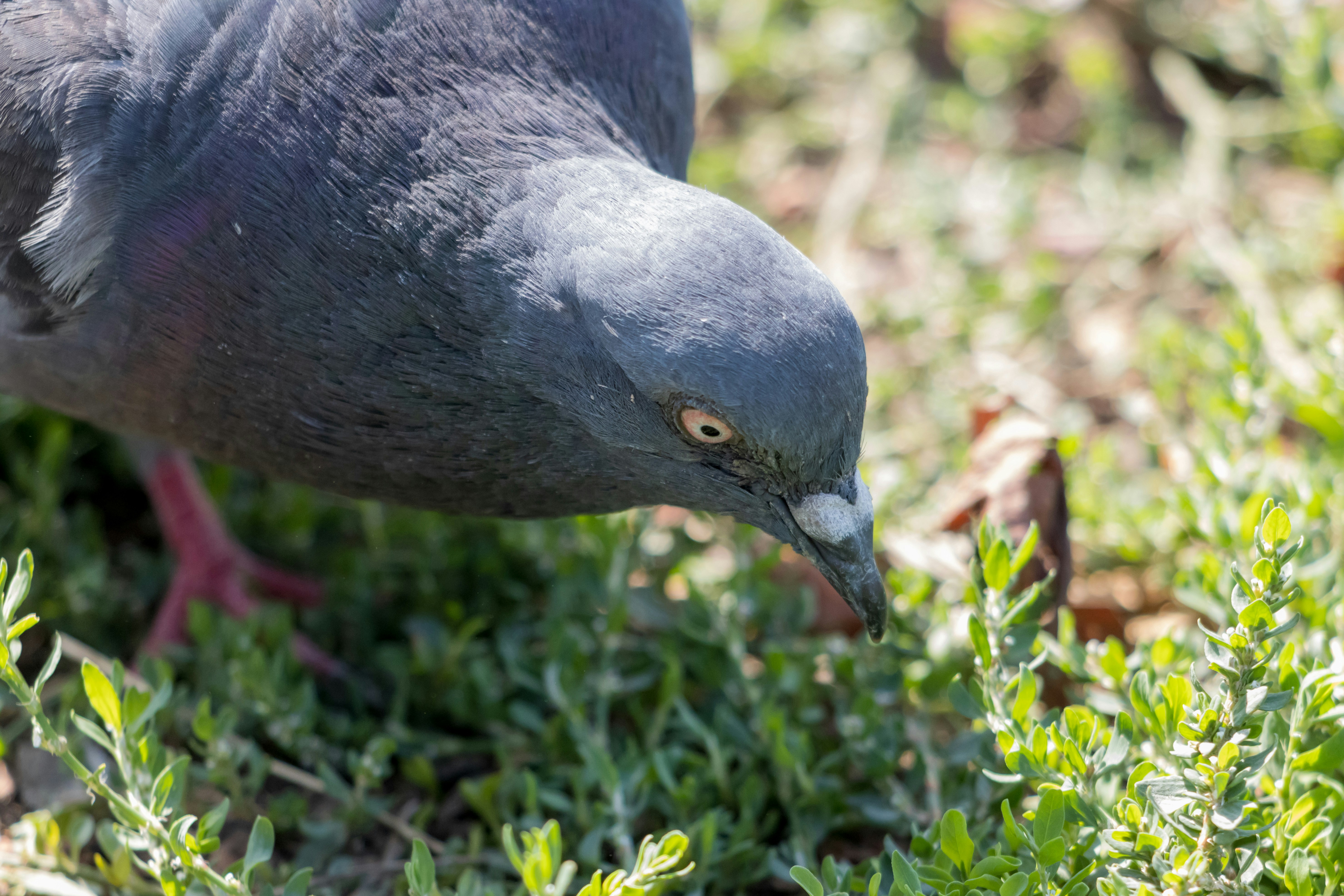 Photo by mechaowlstudios