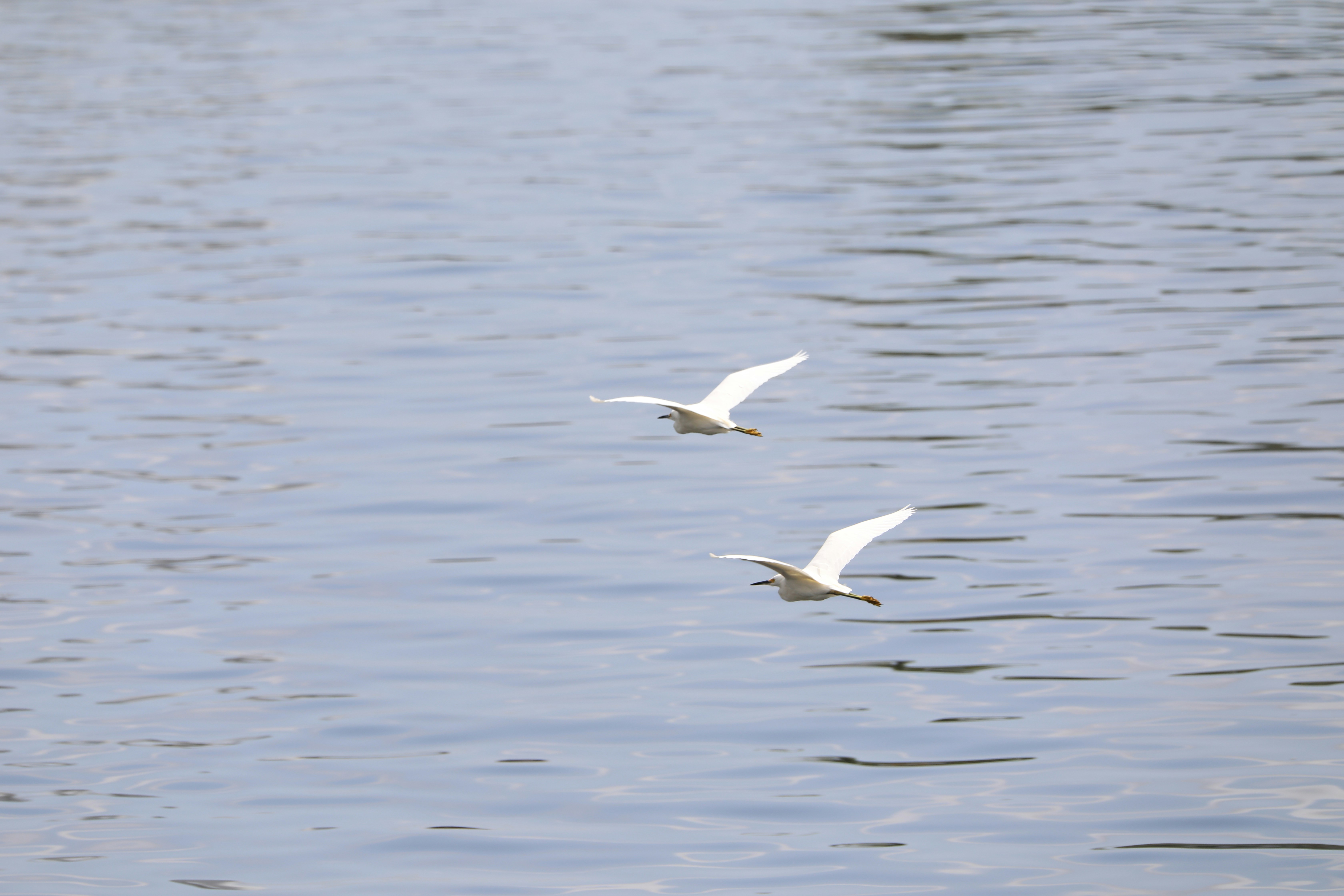 trip gallery picture