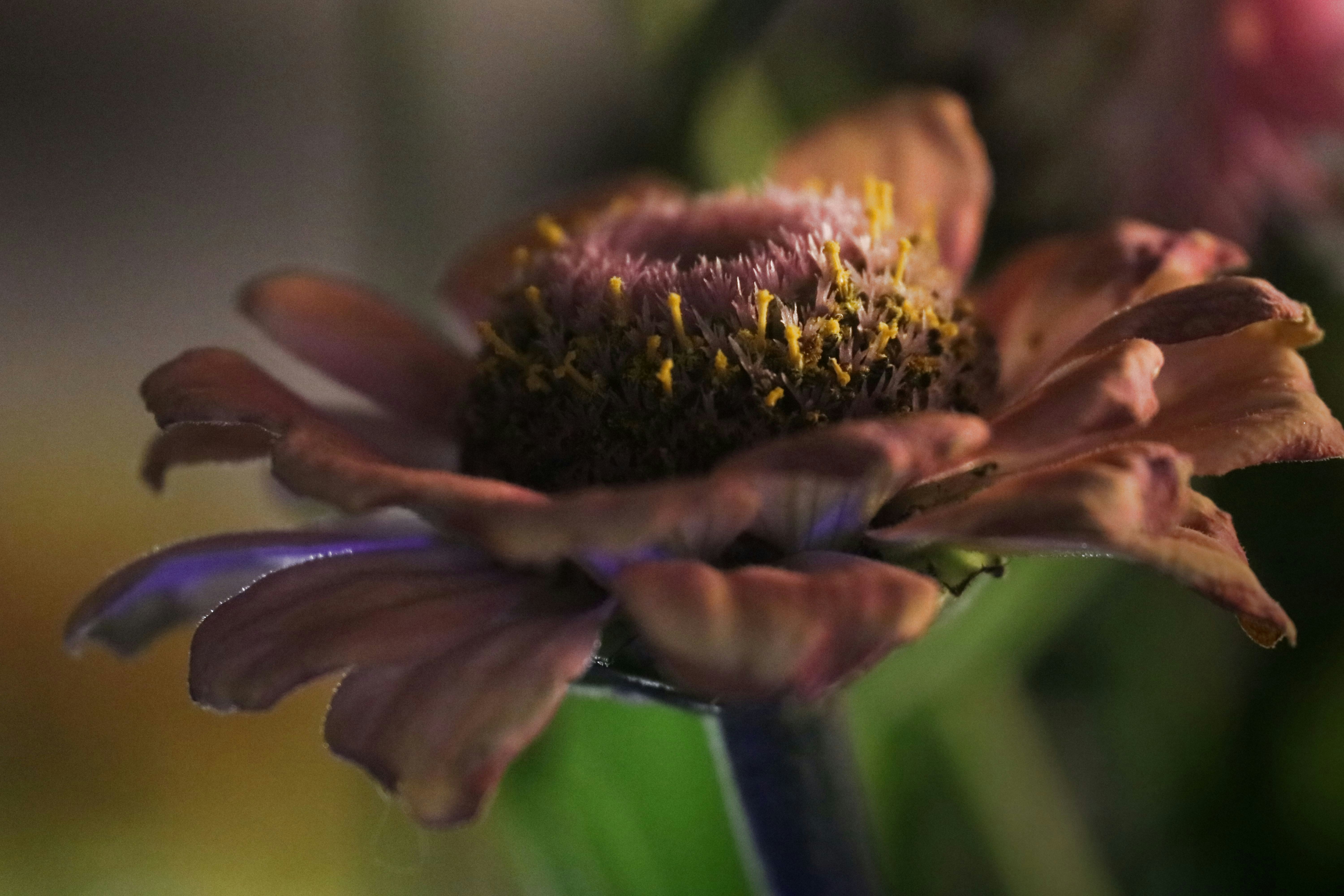Photo by dcbelanger