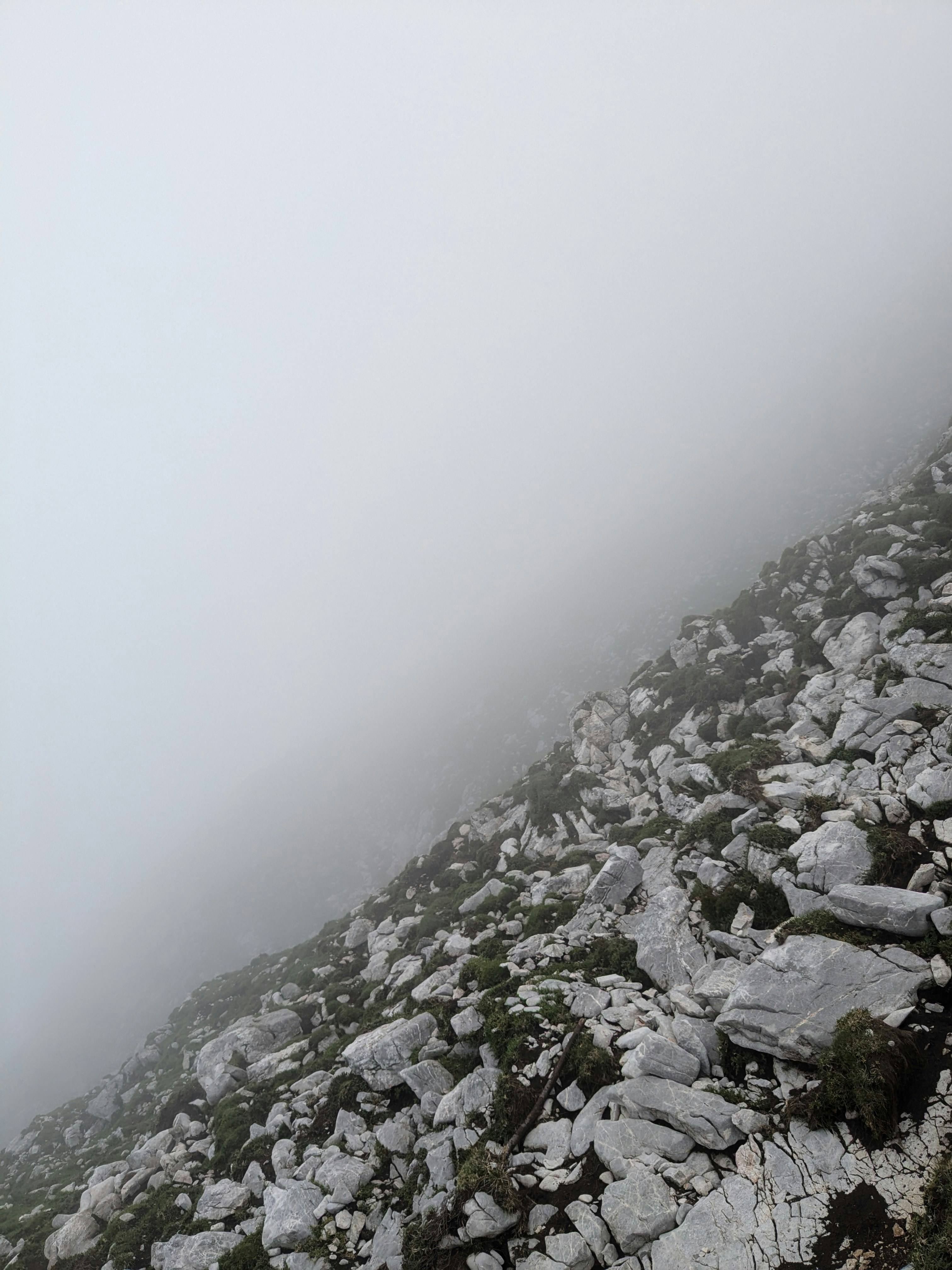 Kranj – Food & Dining Culture