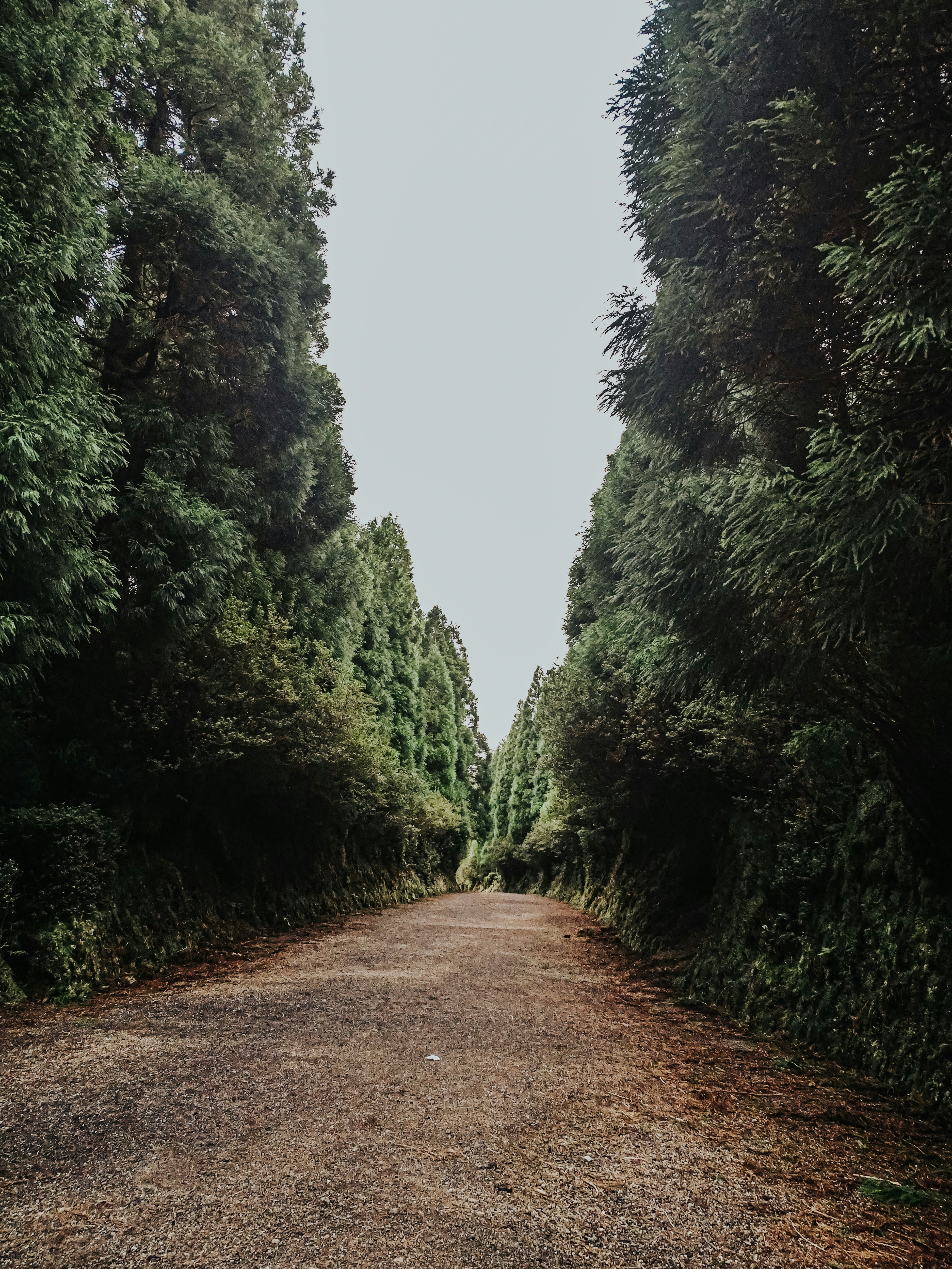 Photo by phozebyzemachado