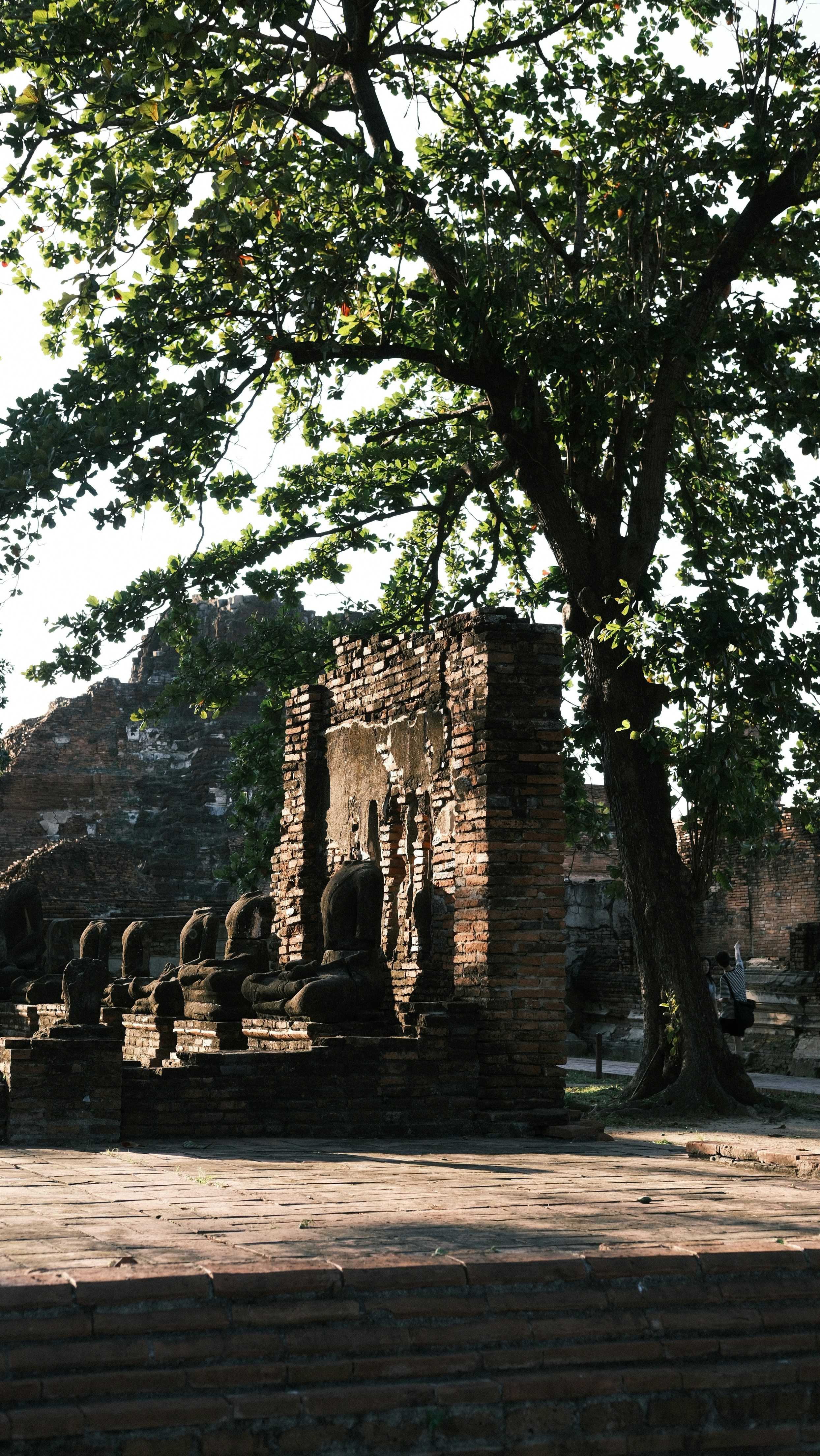 Photo by paopattarapol