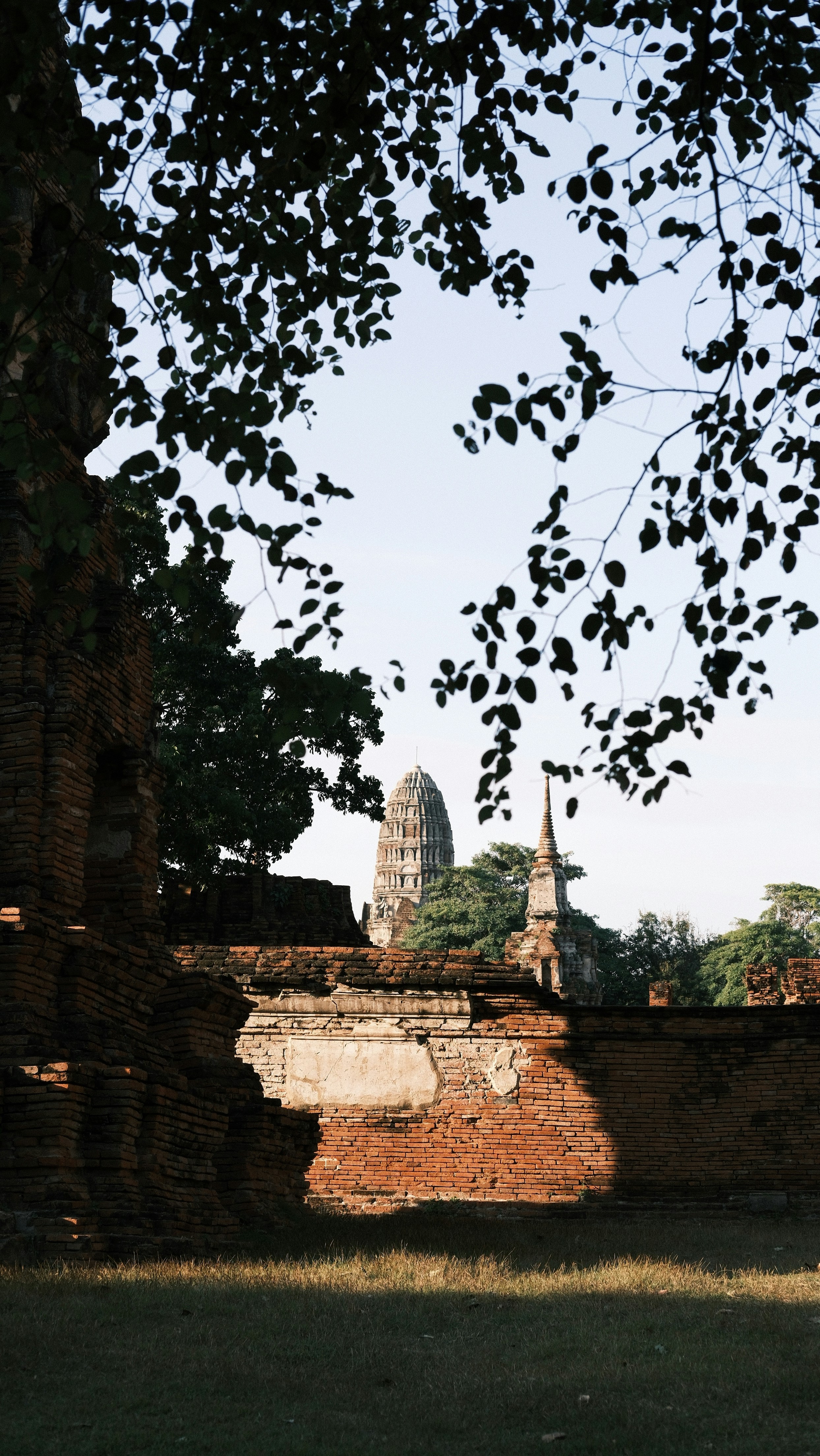 Photo by paopattarapol