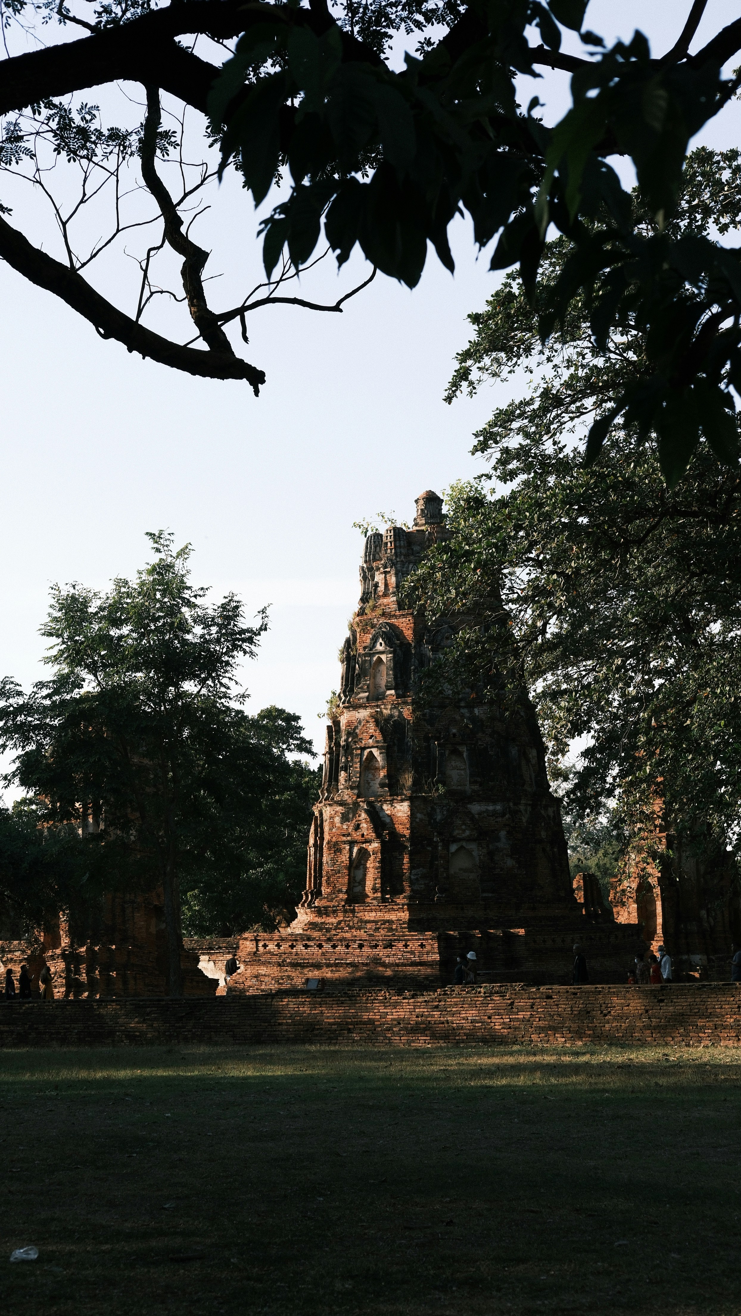 Photo by paopattarapol