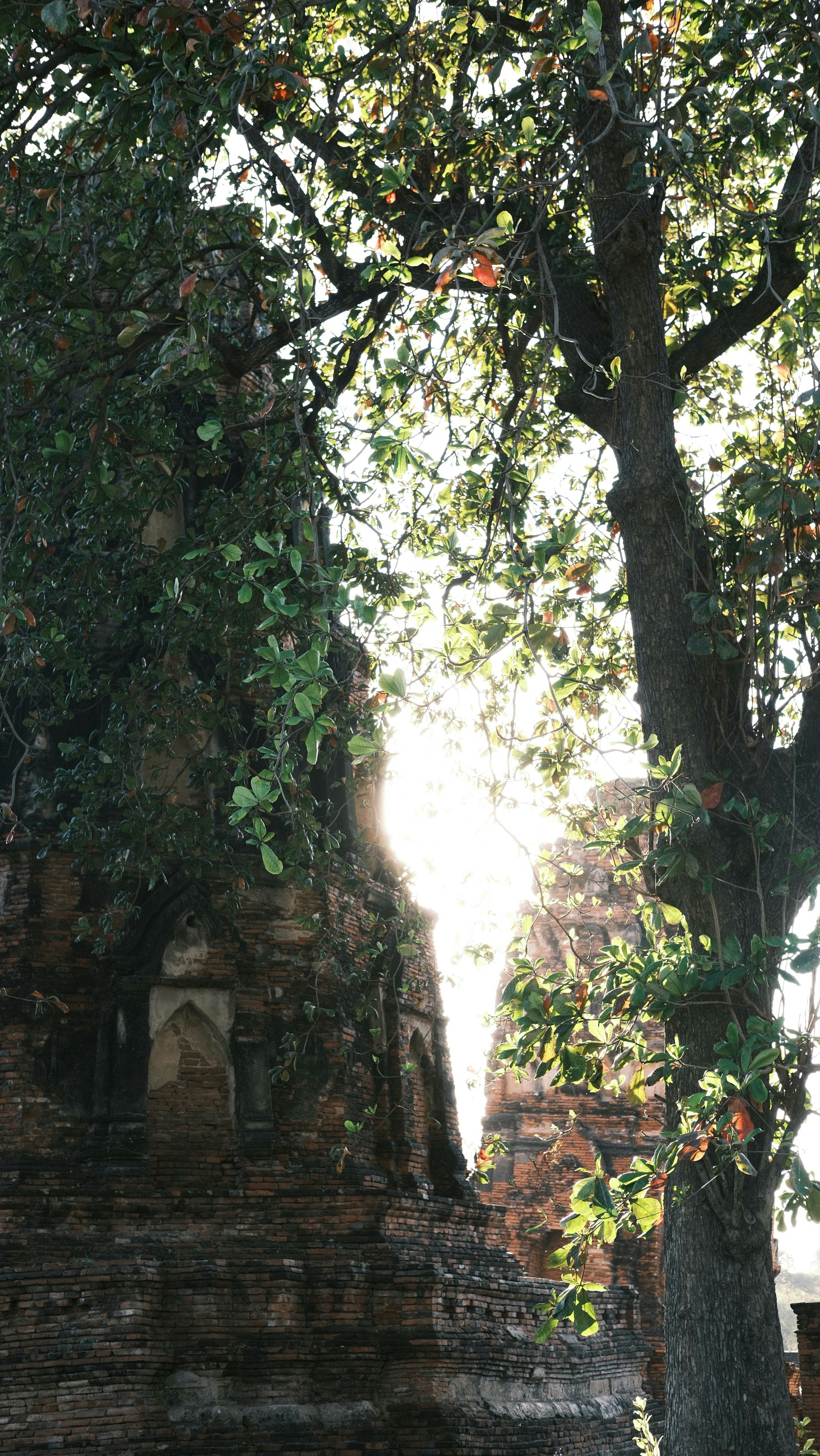 Photo by paopattarapol