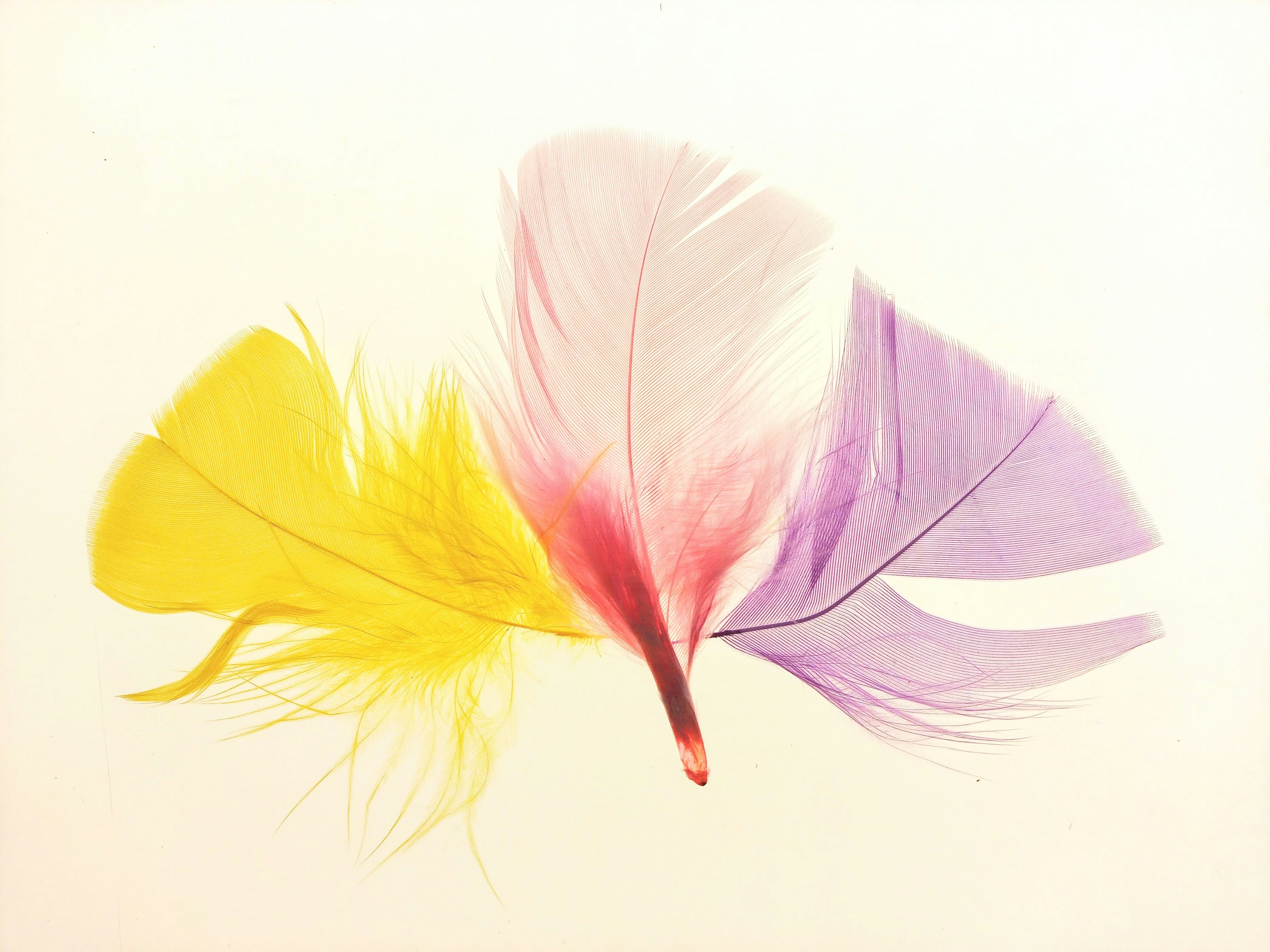 Photo by analanguagecoach