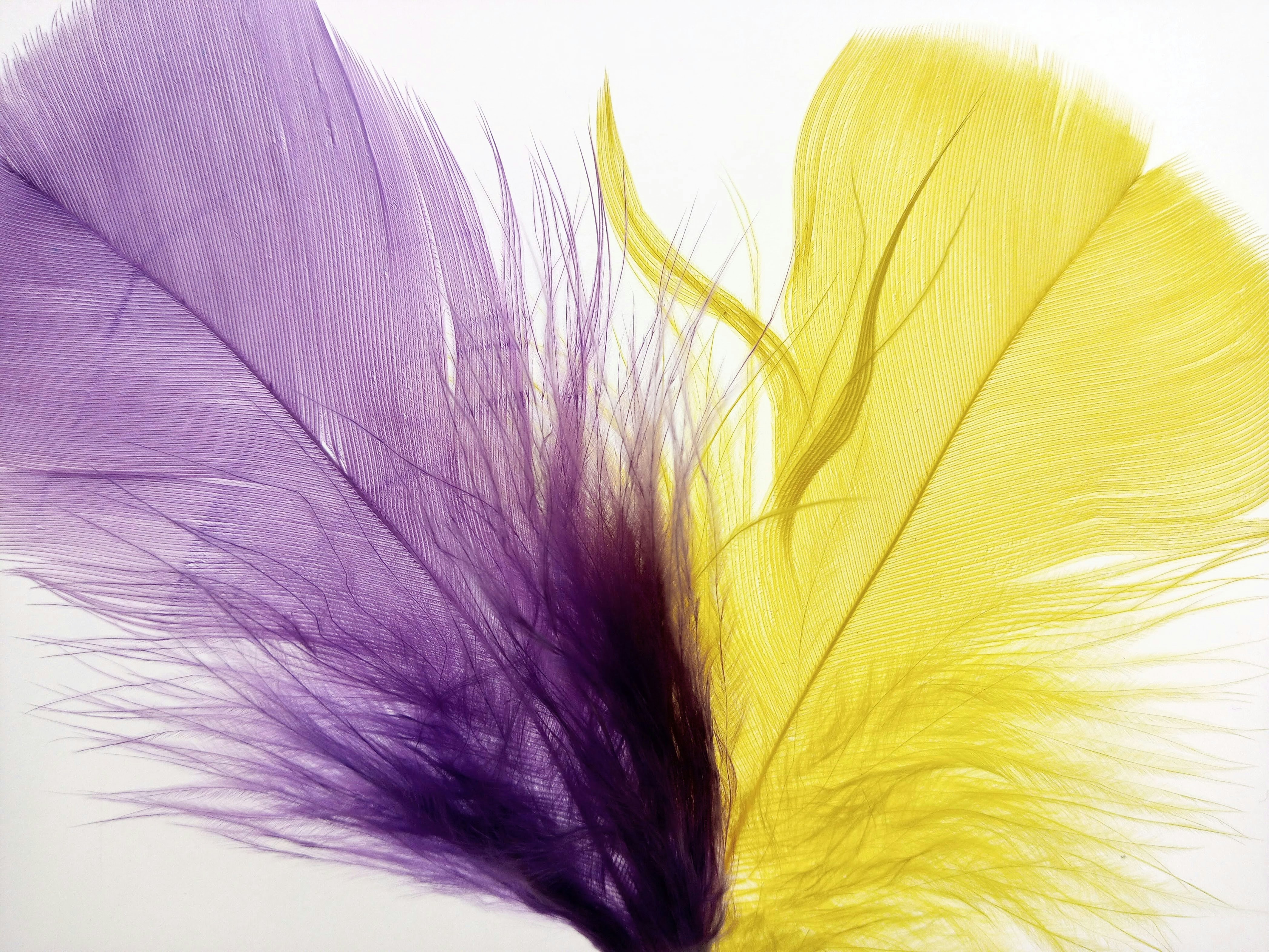 Photo by analanguagecoach