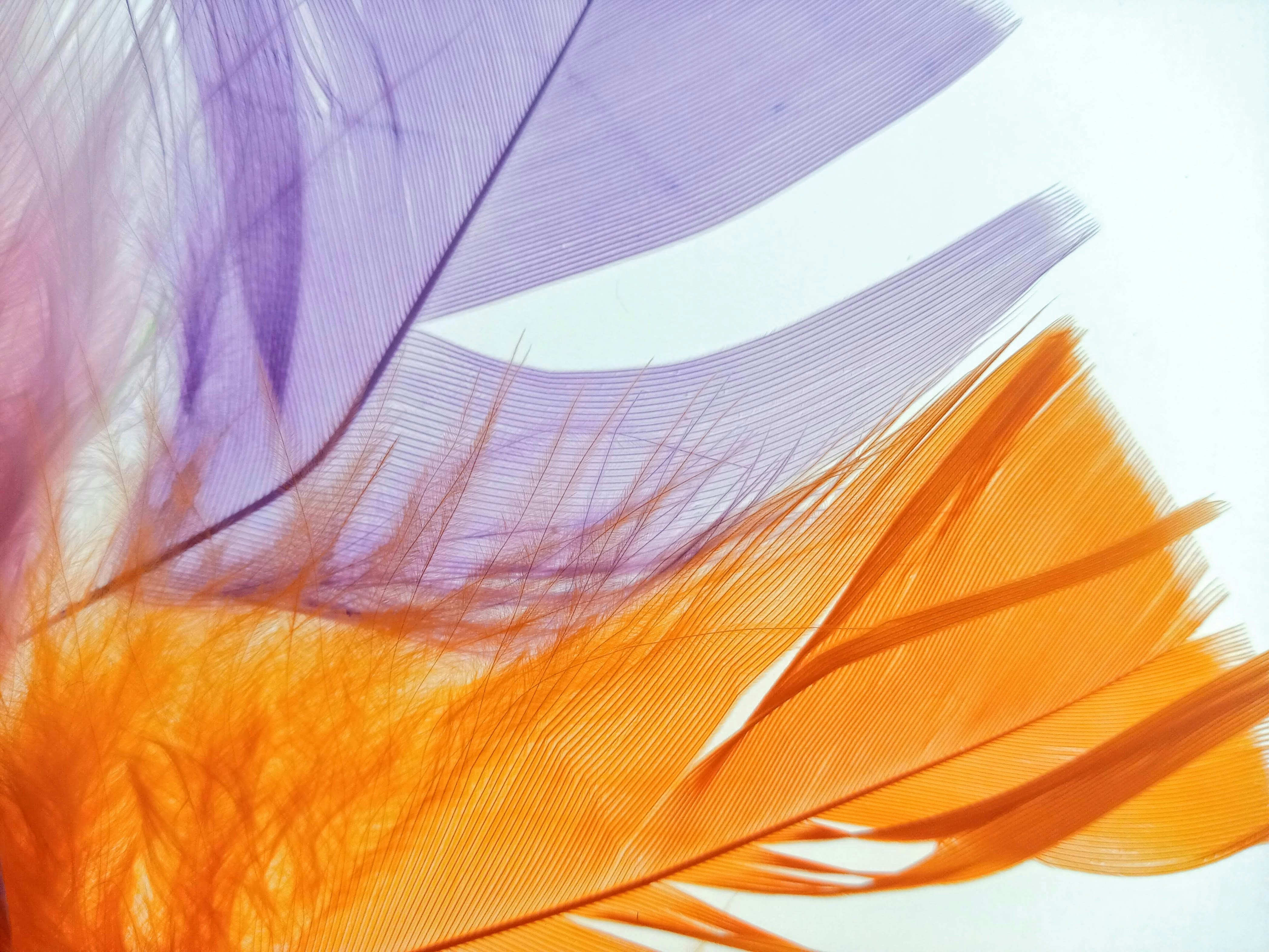 Photo by analanguagecoach