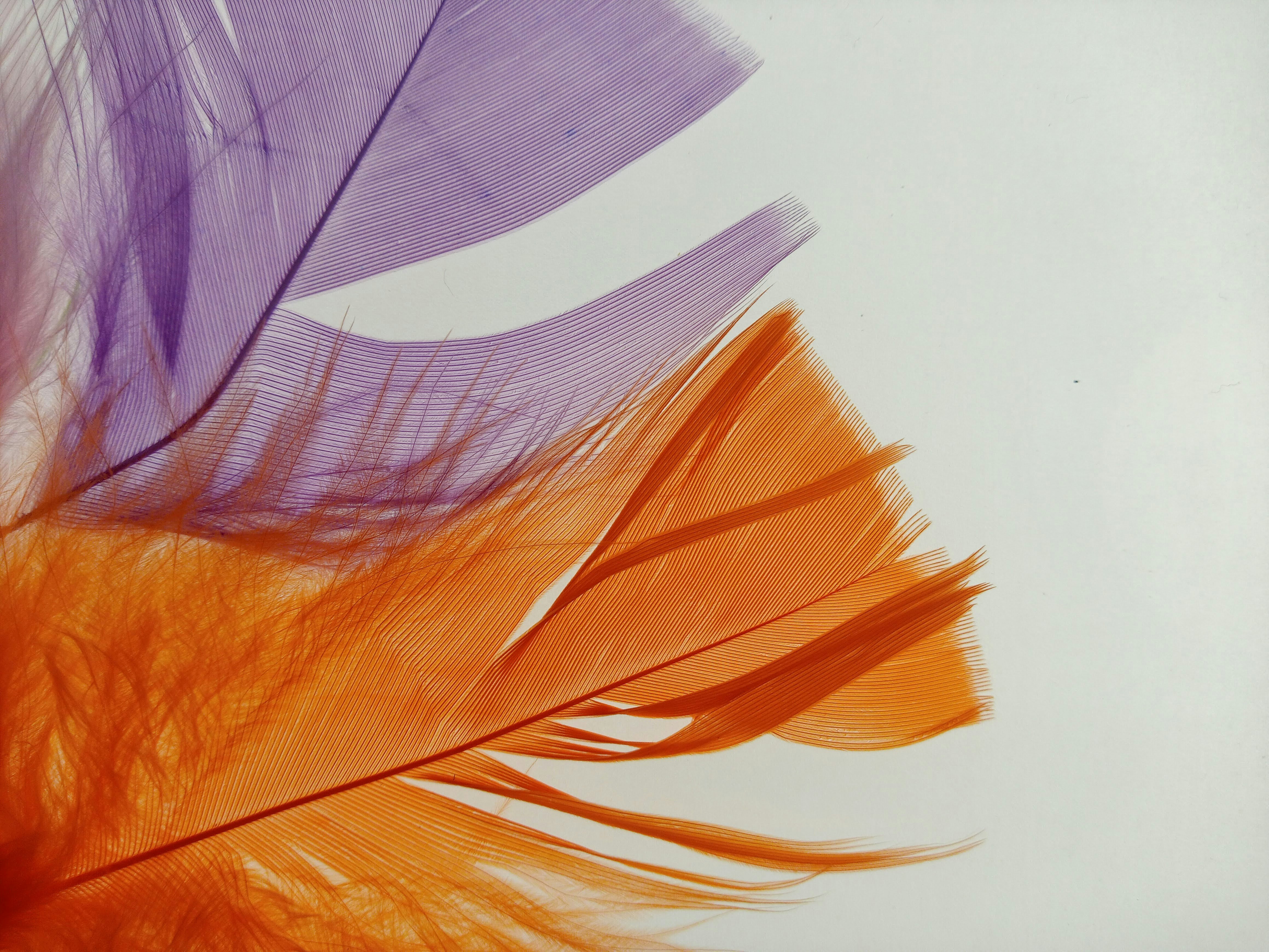 Photo by analanguagecoach