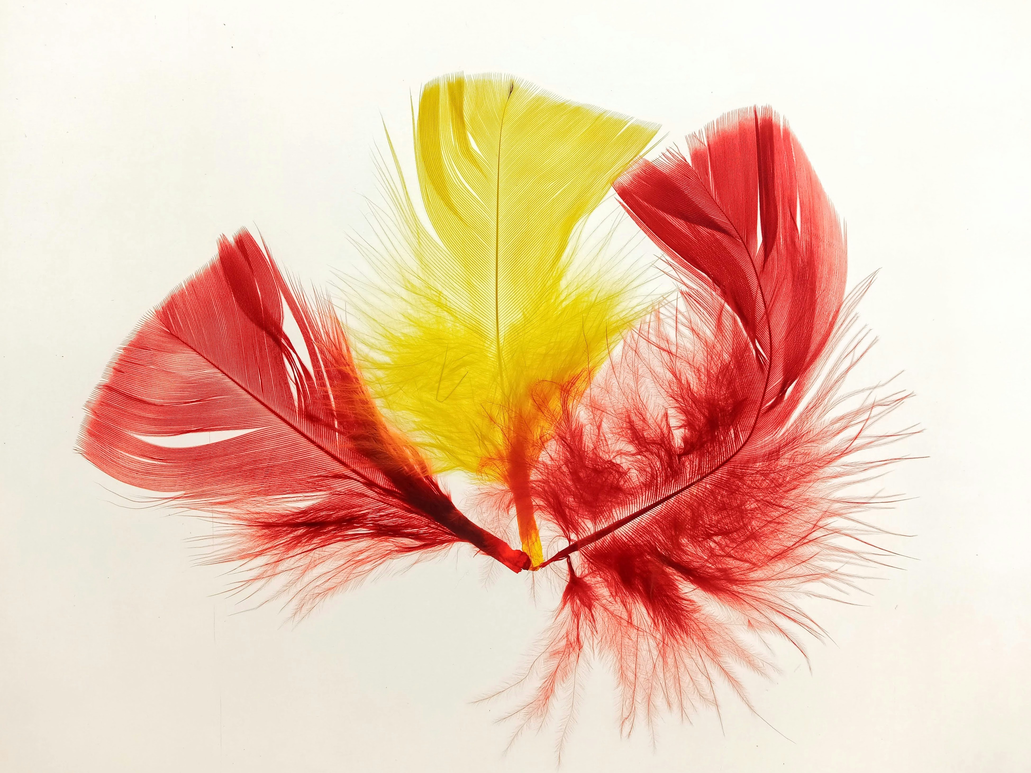 Photo by analanguagecoach