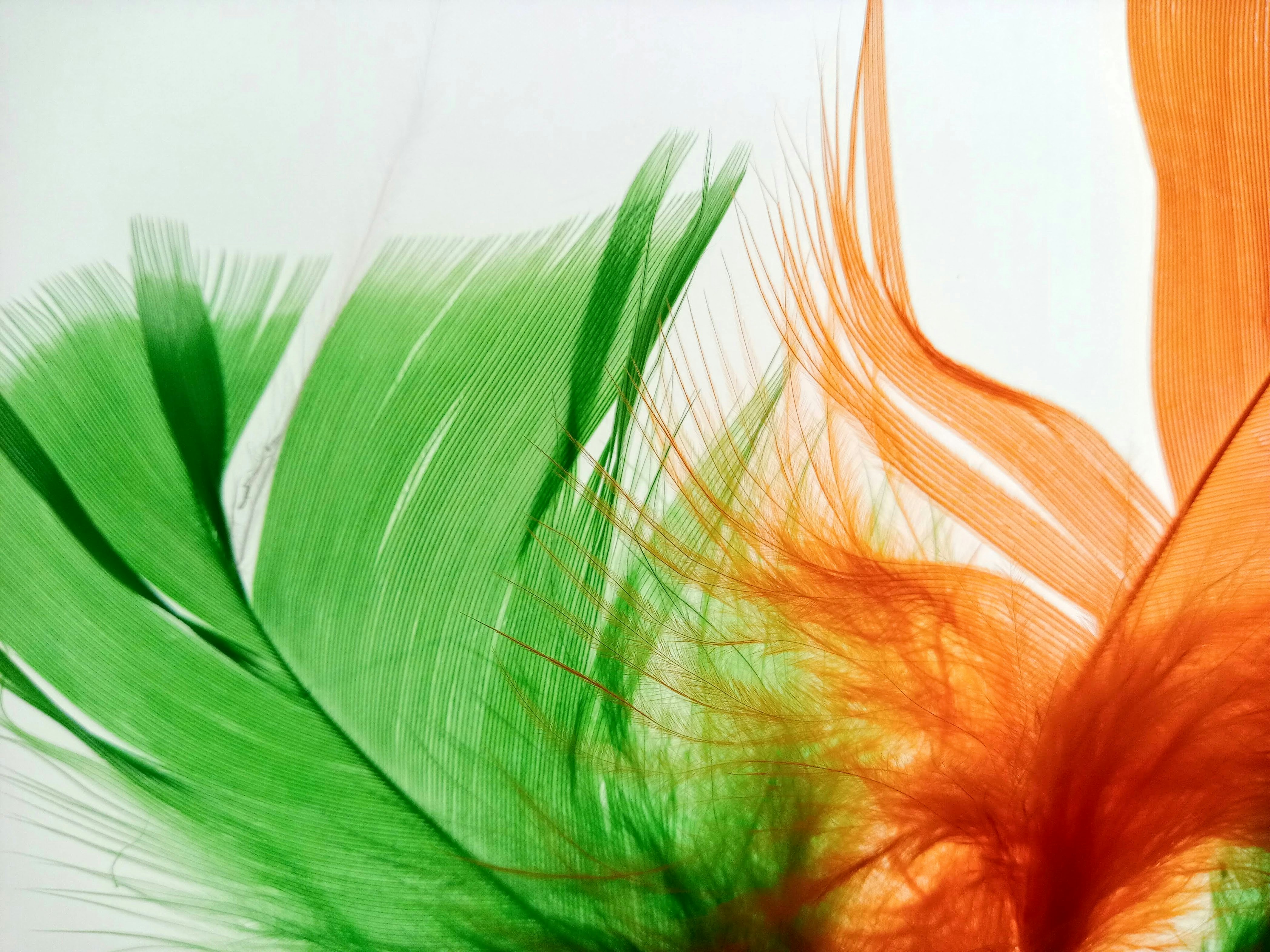 Photo by analanguagecoach