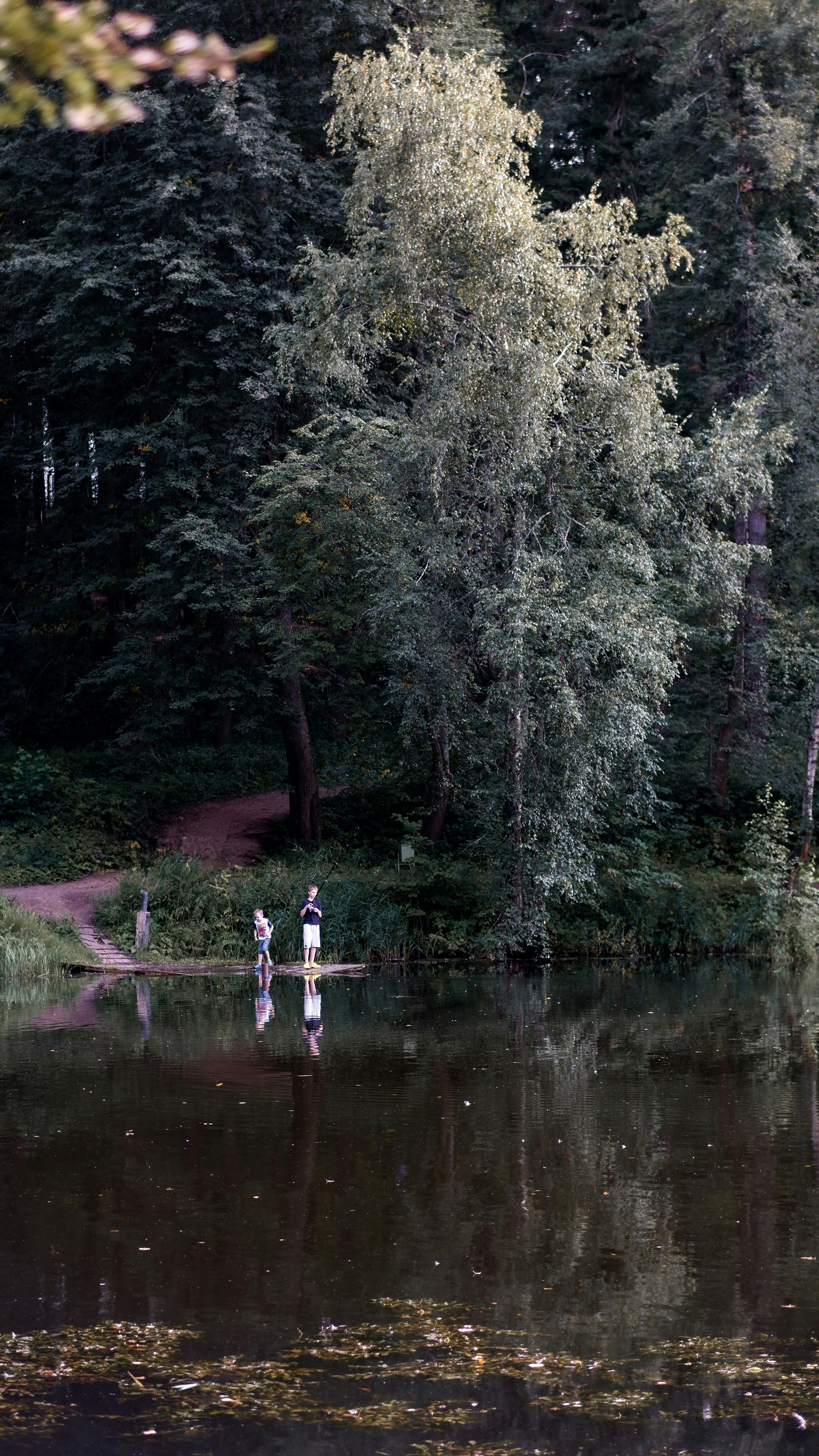 Photo by krotovnet