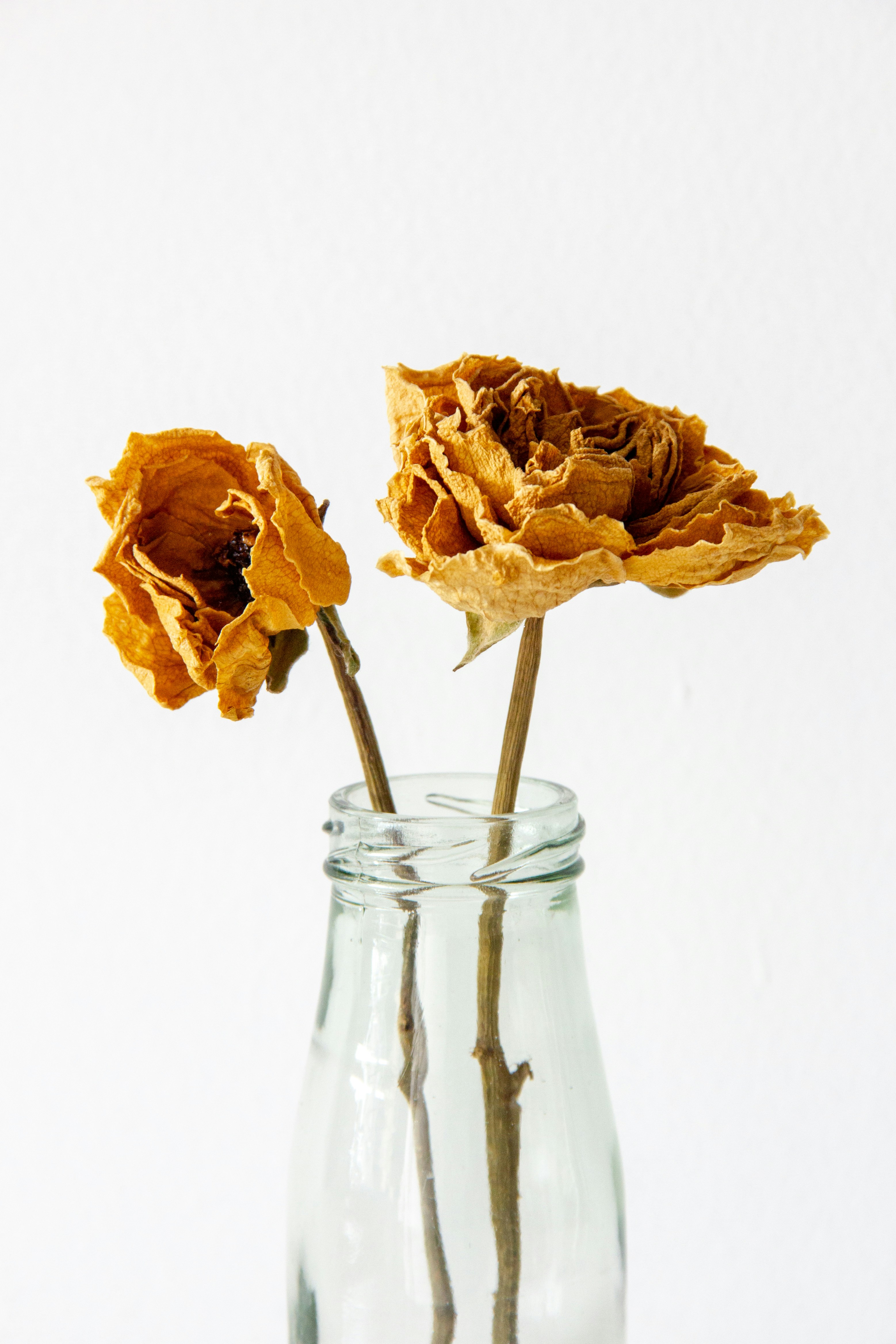 Wildflower Grill Menu