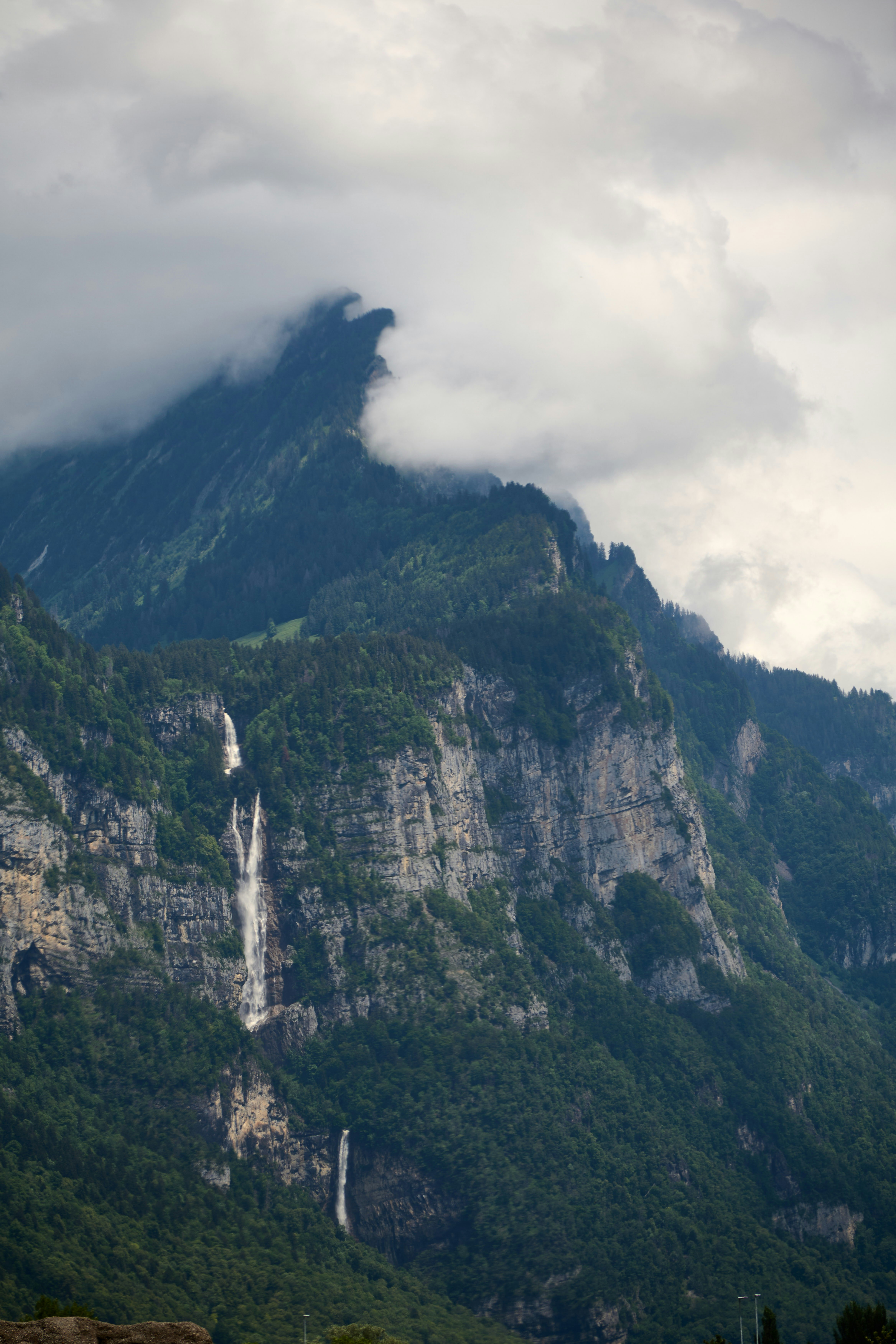 Photo by wolfgang_hasselmann