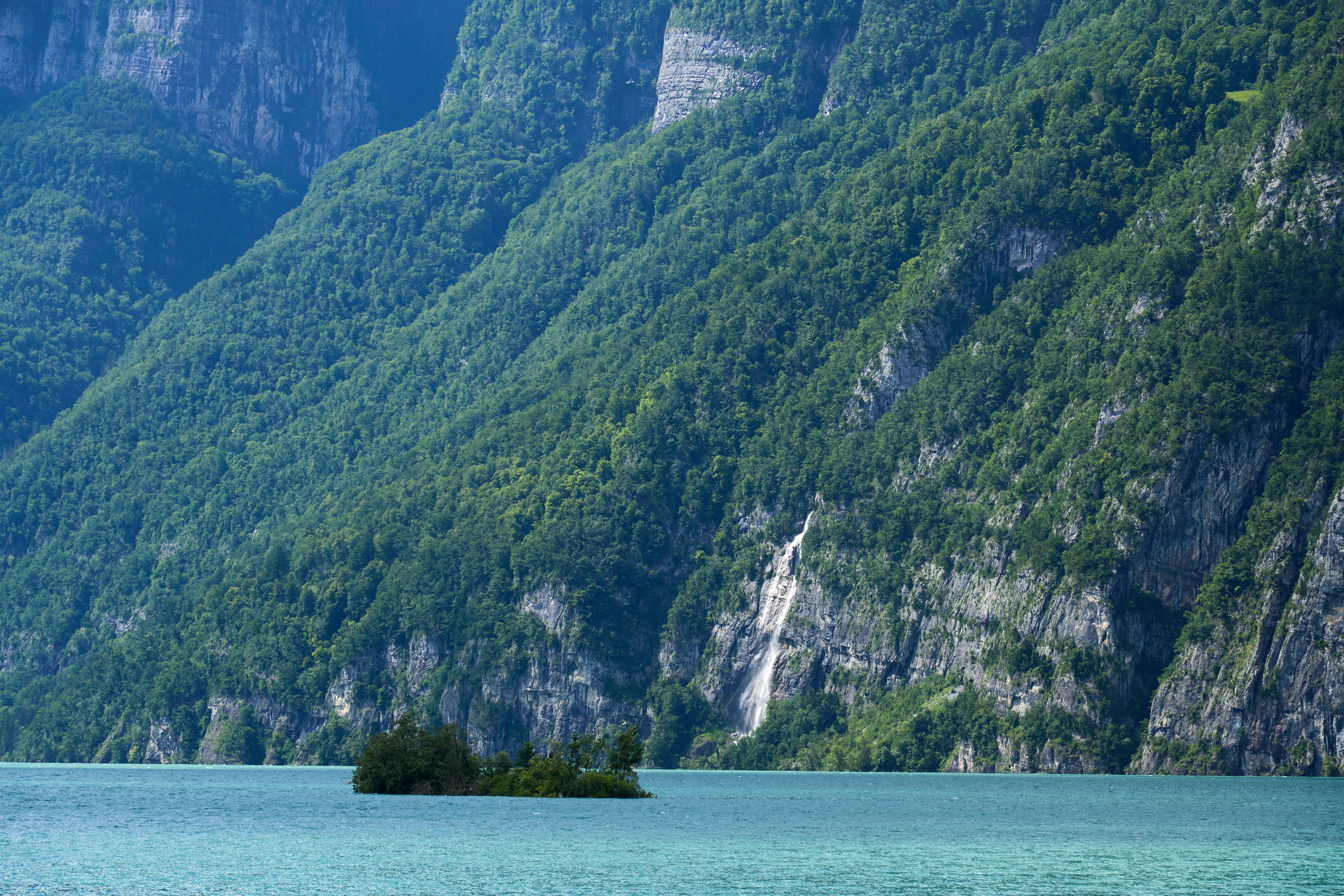 Photo by wolfgang_hasselmann