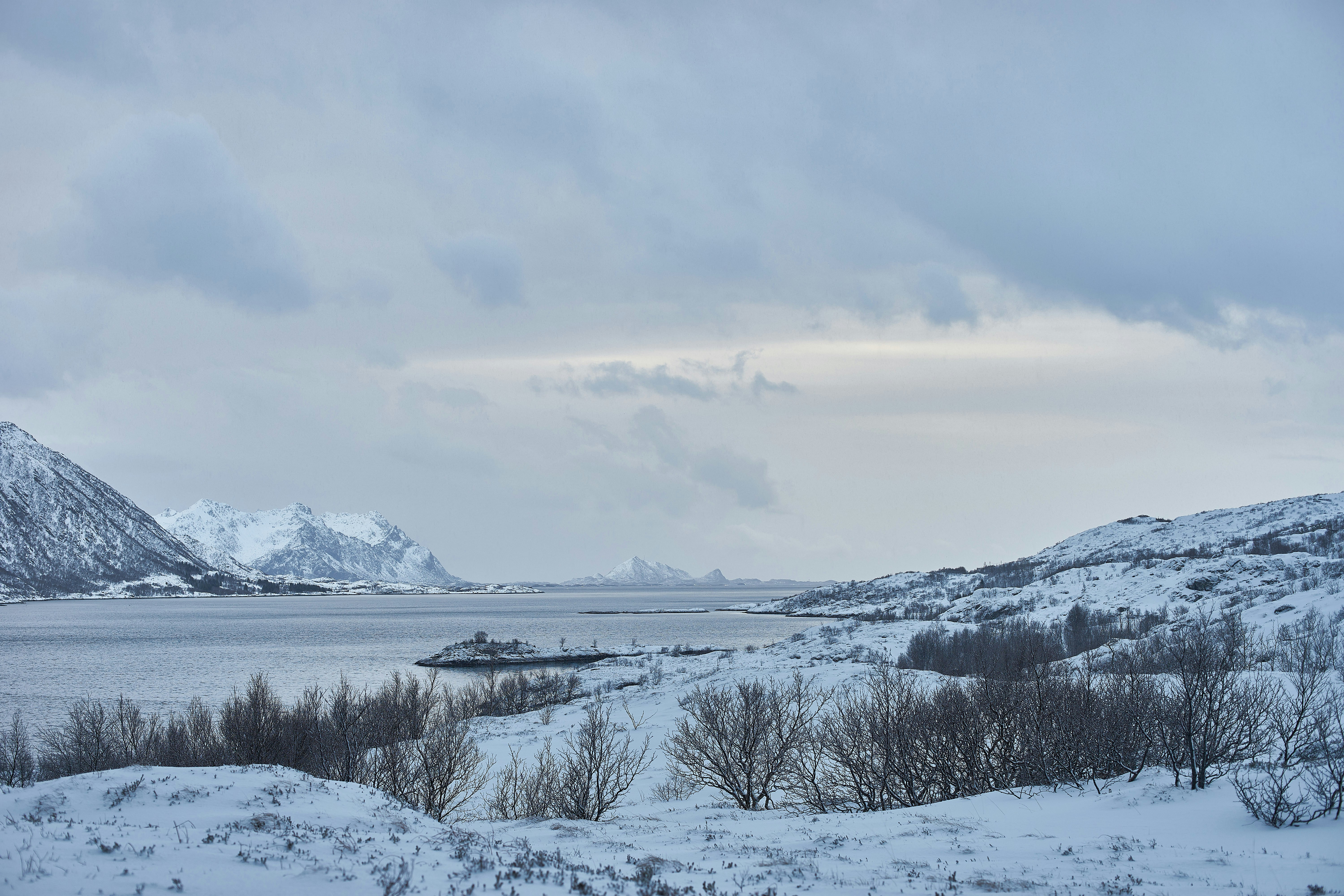 Photo by wolfgang_hasselmann