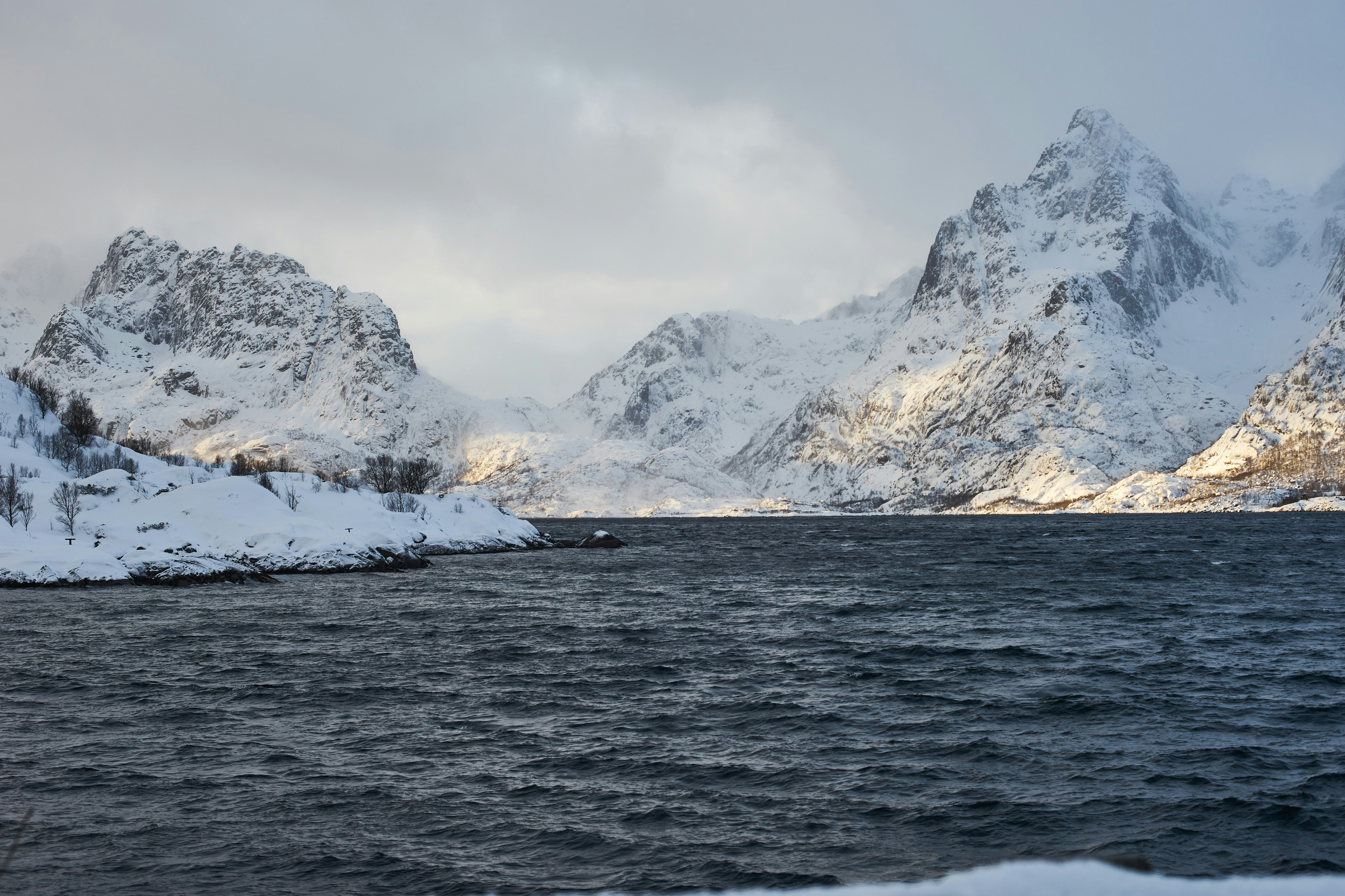 Photo by wolfgang_hasselmann