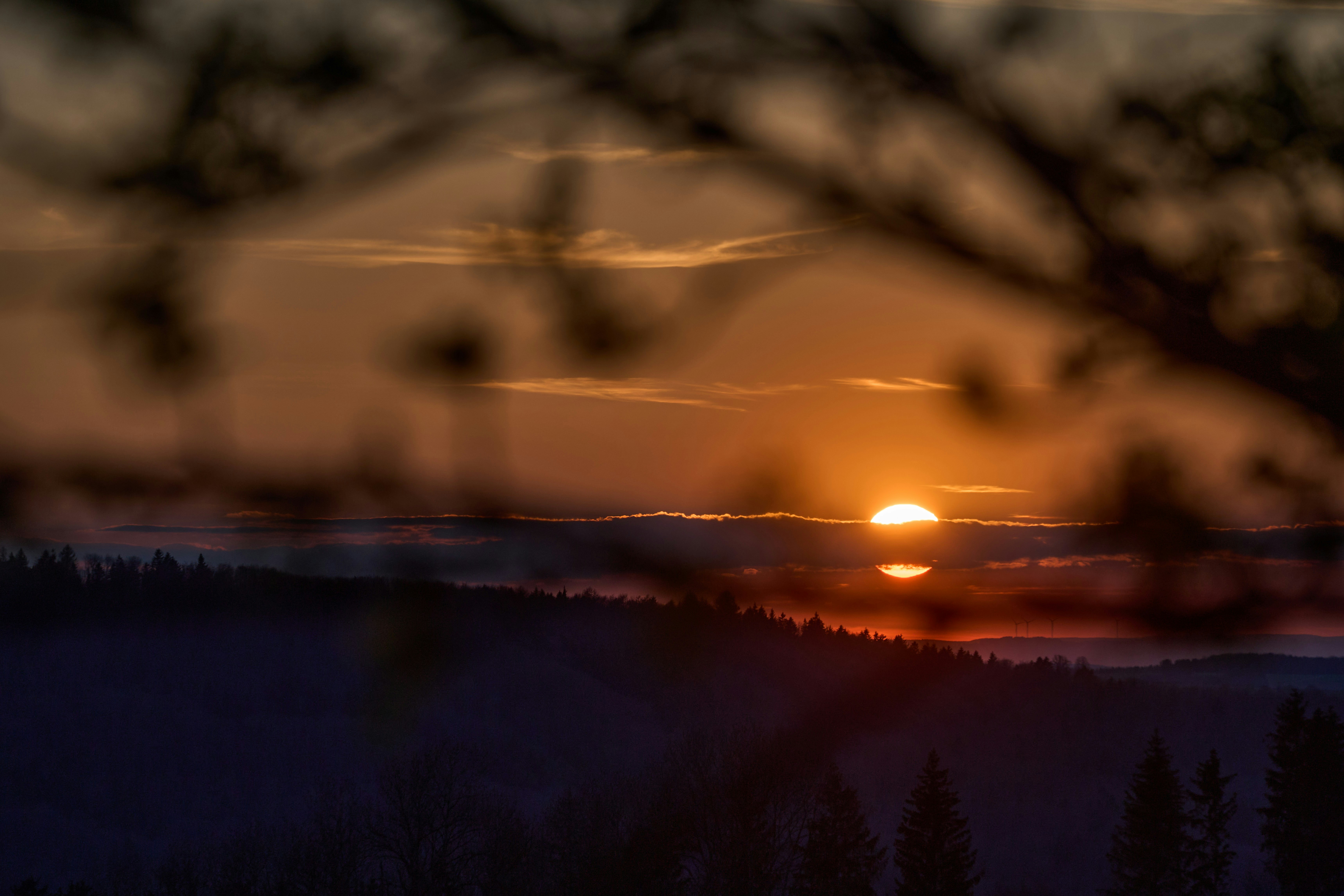 Photo by wolfgang_hasselmann