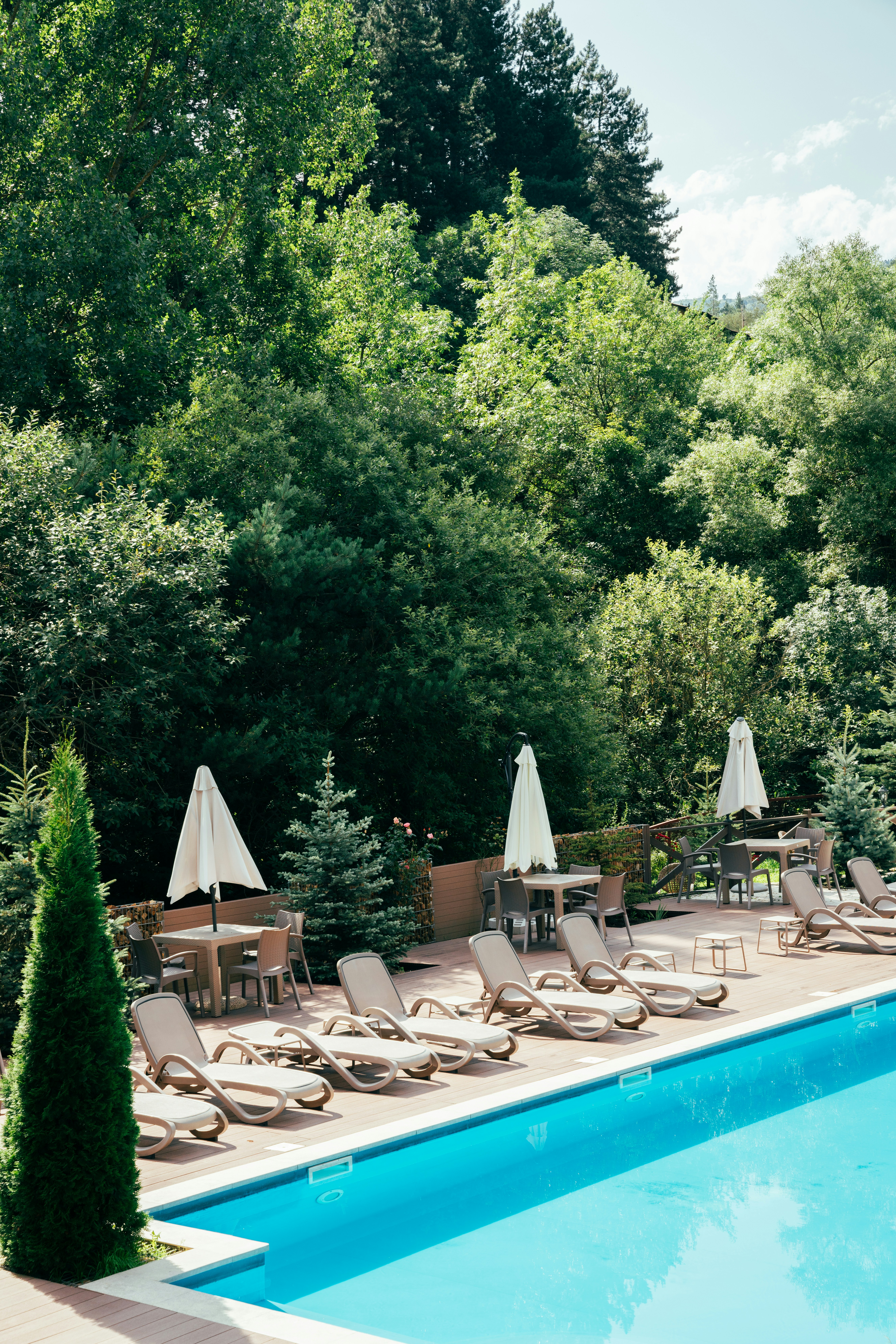 Photo by nellie_adamyan