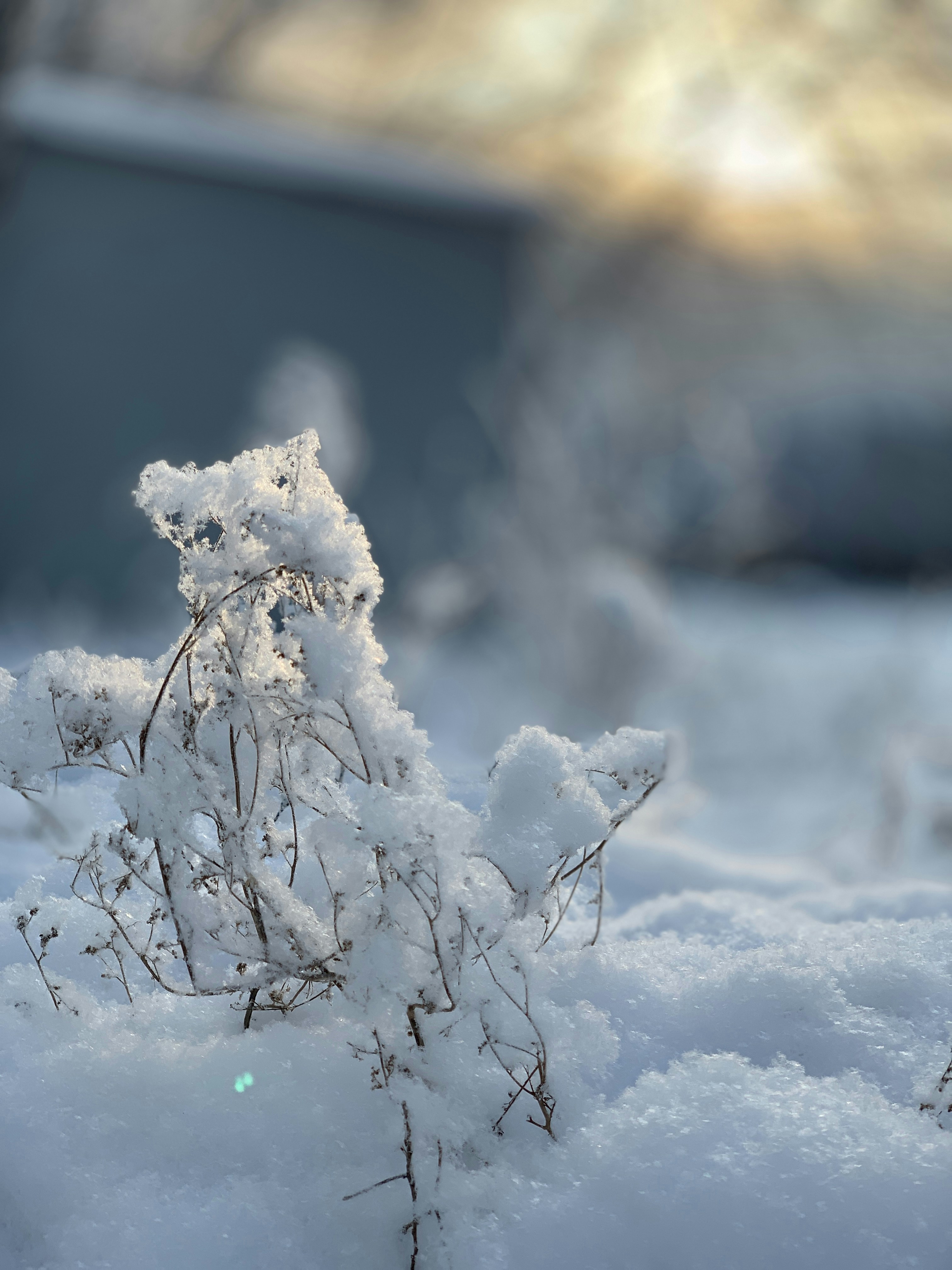 Photo by ionemchinov