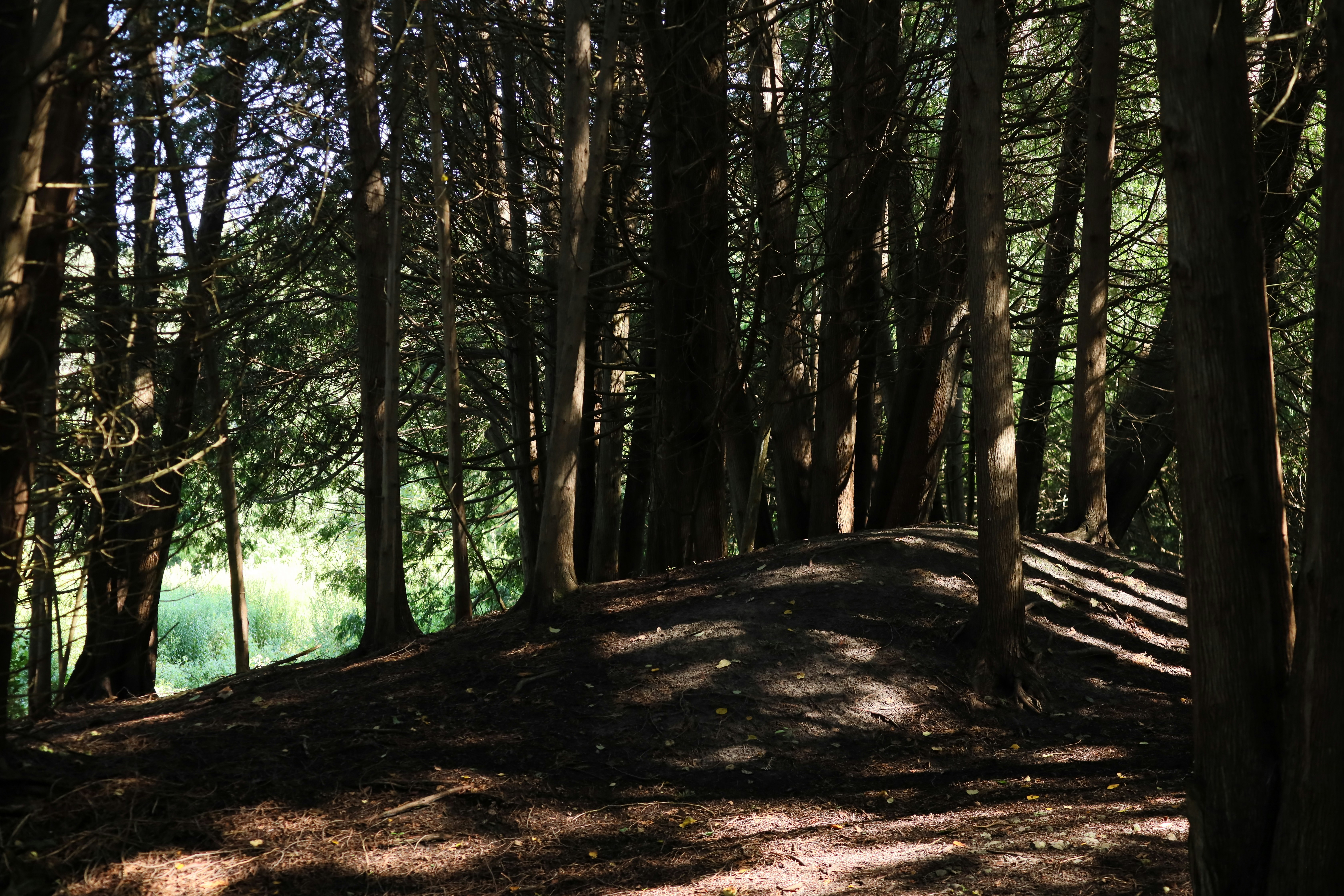 Photo by richardworks